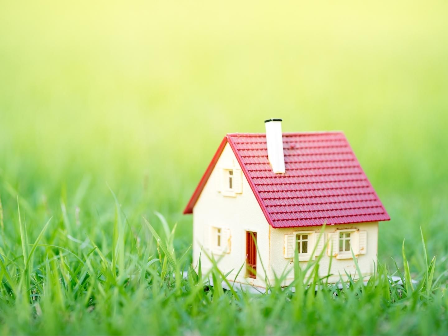 Vater bucht Tiny House für vierköpfige Familie: Diesen Urlaub werden sie so schnell nicht mehr vergessen.