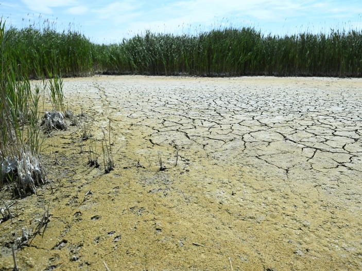 Trotz Klimakrise heißt es weiter warten auf ein neues Klimaschutzgesetz.