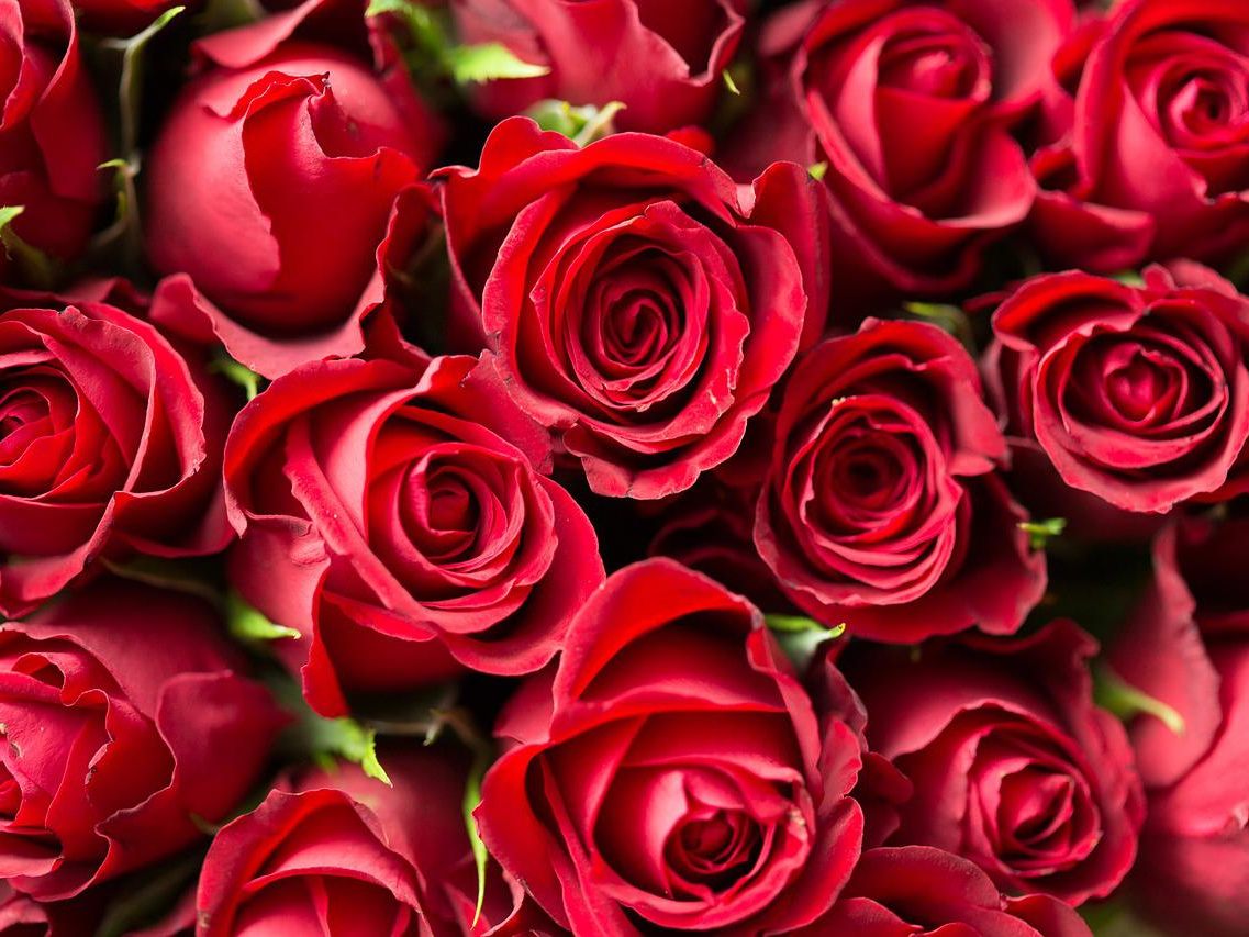 Gast schenkte Kellnerin Rosen, seither auf einem Auge blind: Prozess in Wien.