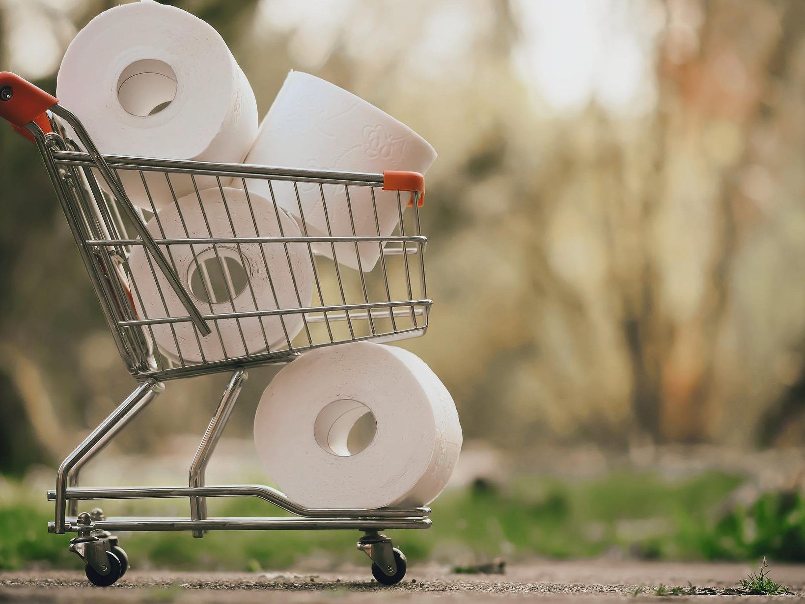 Auch Toilettenpapier und Taschentücher sind laut dem AK-Check teurer geworden. Auch Toilettenpapier und Taschentücher sind laut dem AK-Check teurer geworden.