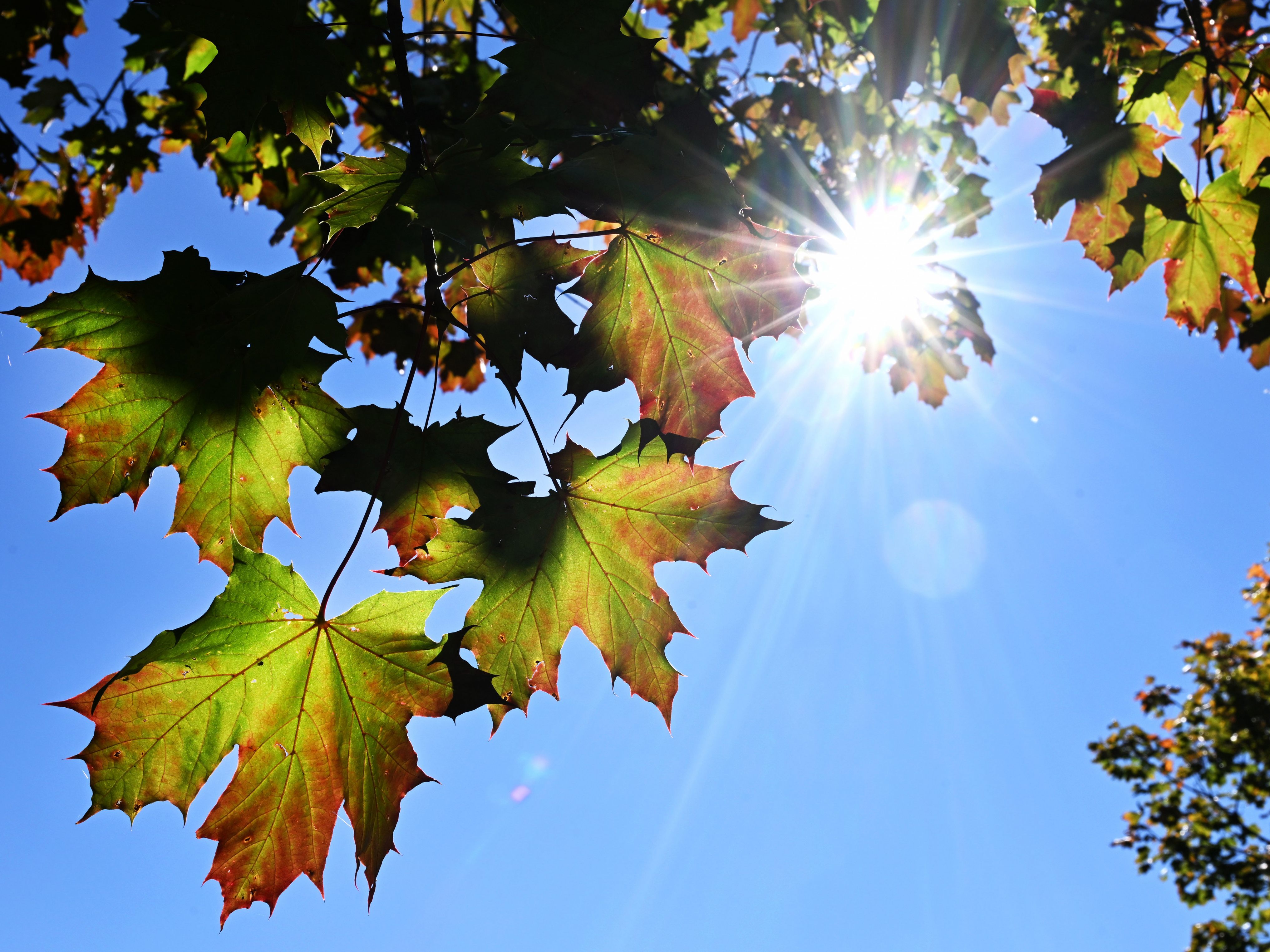 Kommende Woche wird das Wetter in Österreich herbstlich, aber wieder etwas milder.