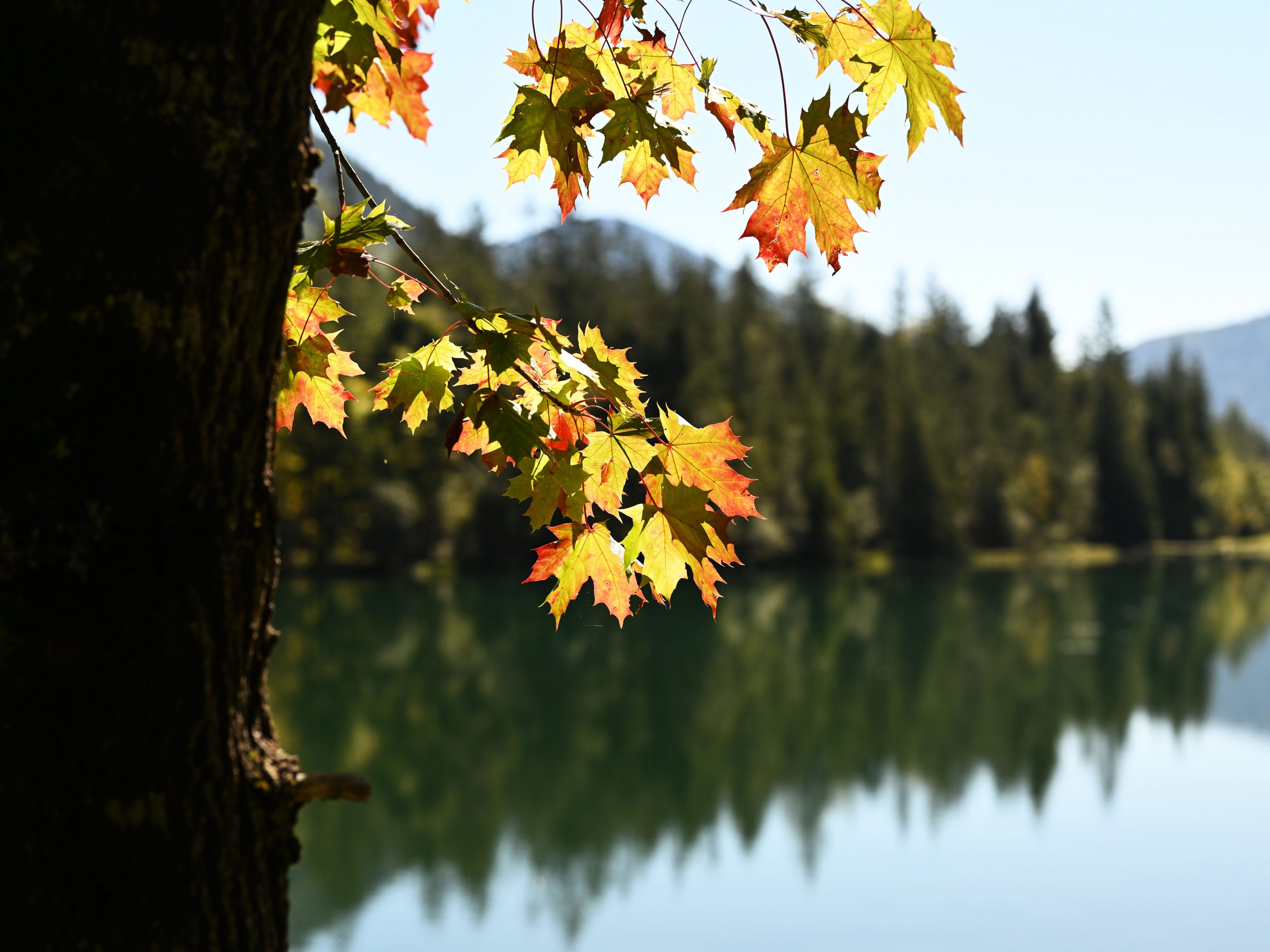 Das Wetter am Wochenende wird herbstlich.