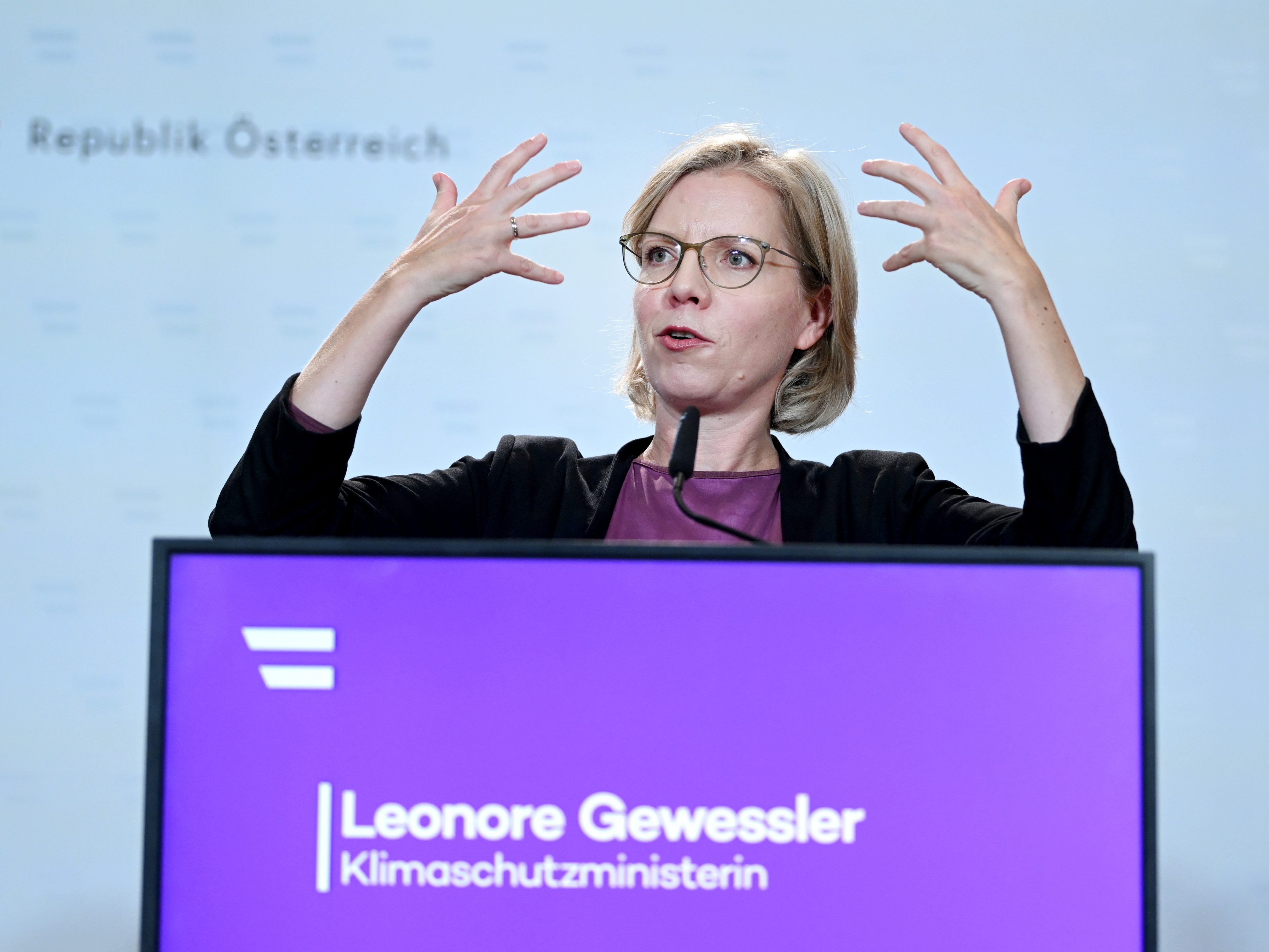 Gewessler ist kein Fan von Heizschwammerln. Gewessler ist kein Fan von Heizschwammerln.