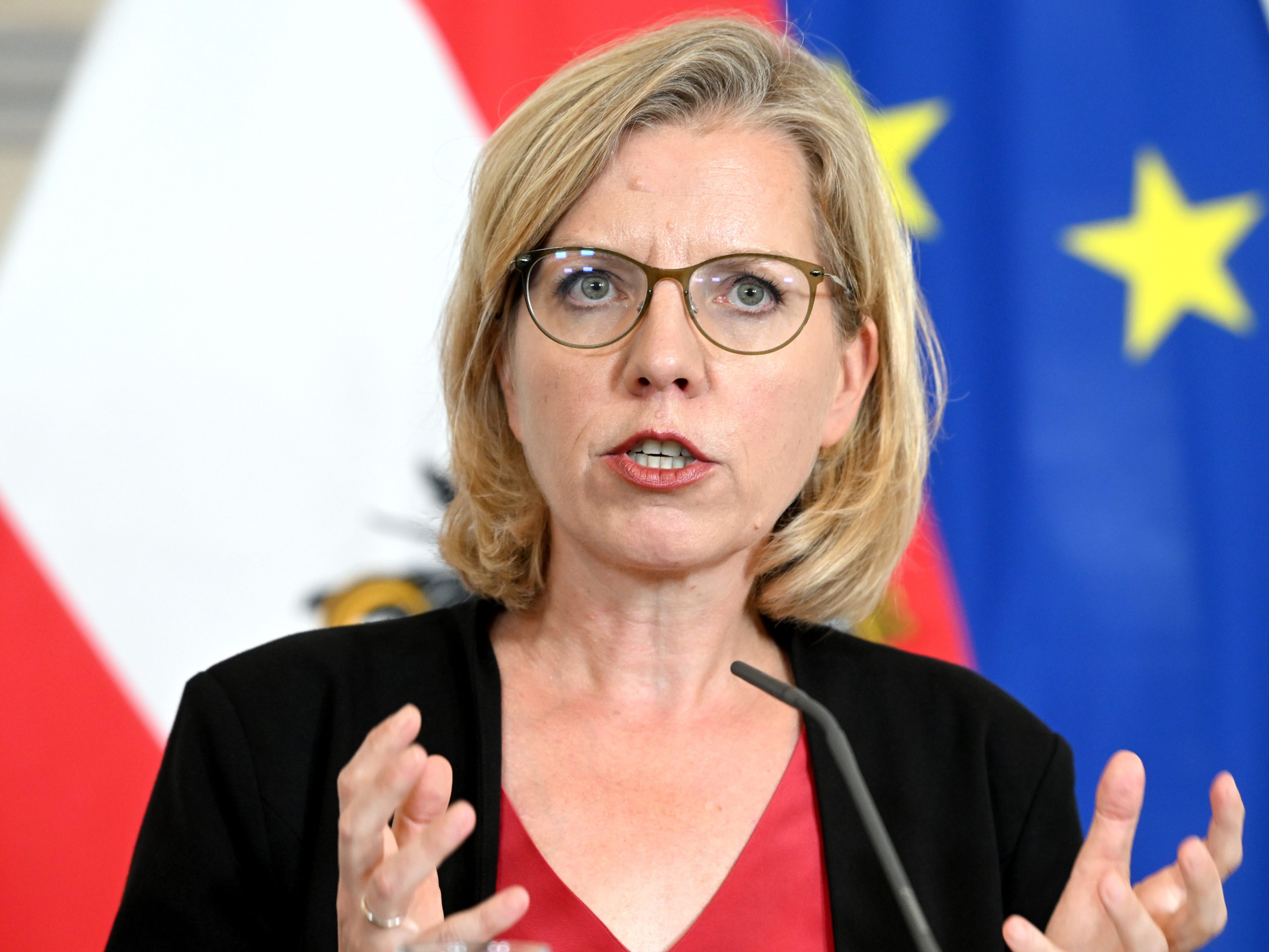 Energieministerin Leonore Gewessler ist gegen einen Preisdeckel für russisches Gas. Energieministerin Leonore Gewessler ist gegen einen Preisdeckel für russisches Gas.