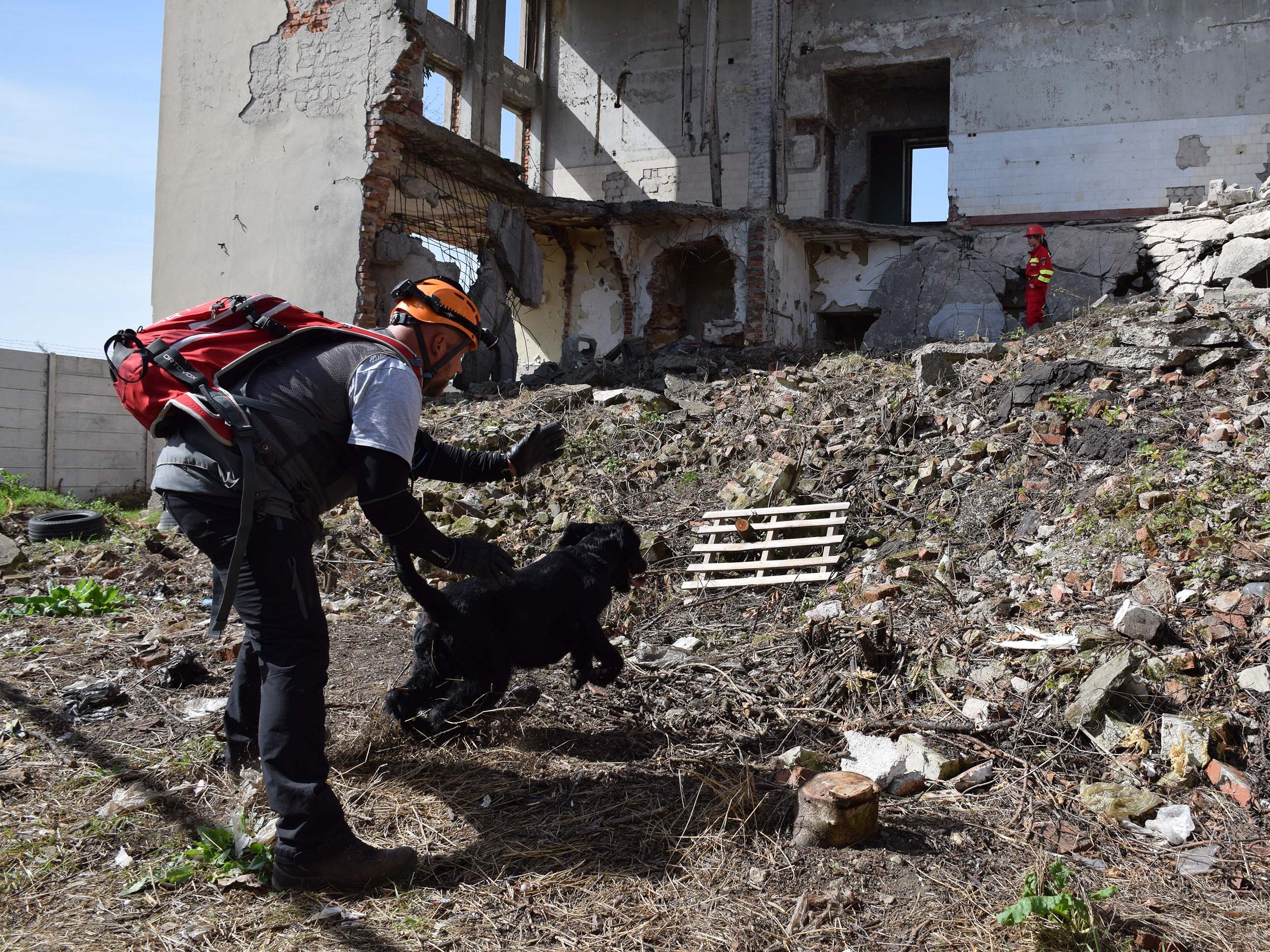 Bei der "Trümmersuche" holte sich Jörg Klapper mit dem Riesenschnauzer Cooper die Weltmeisterschaft, Andreas Hauk belegte mit Labrador Retriever Rocket Platz zwei.