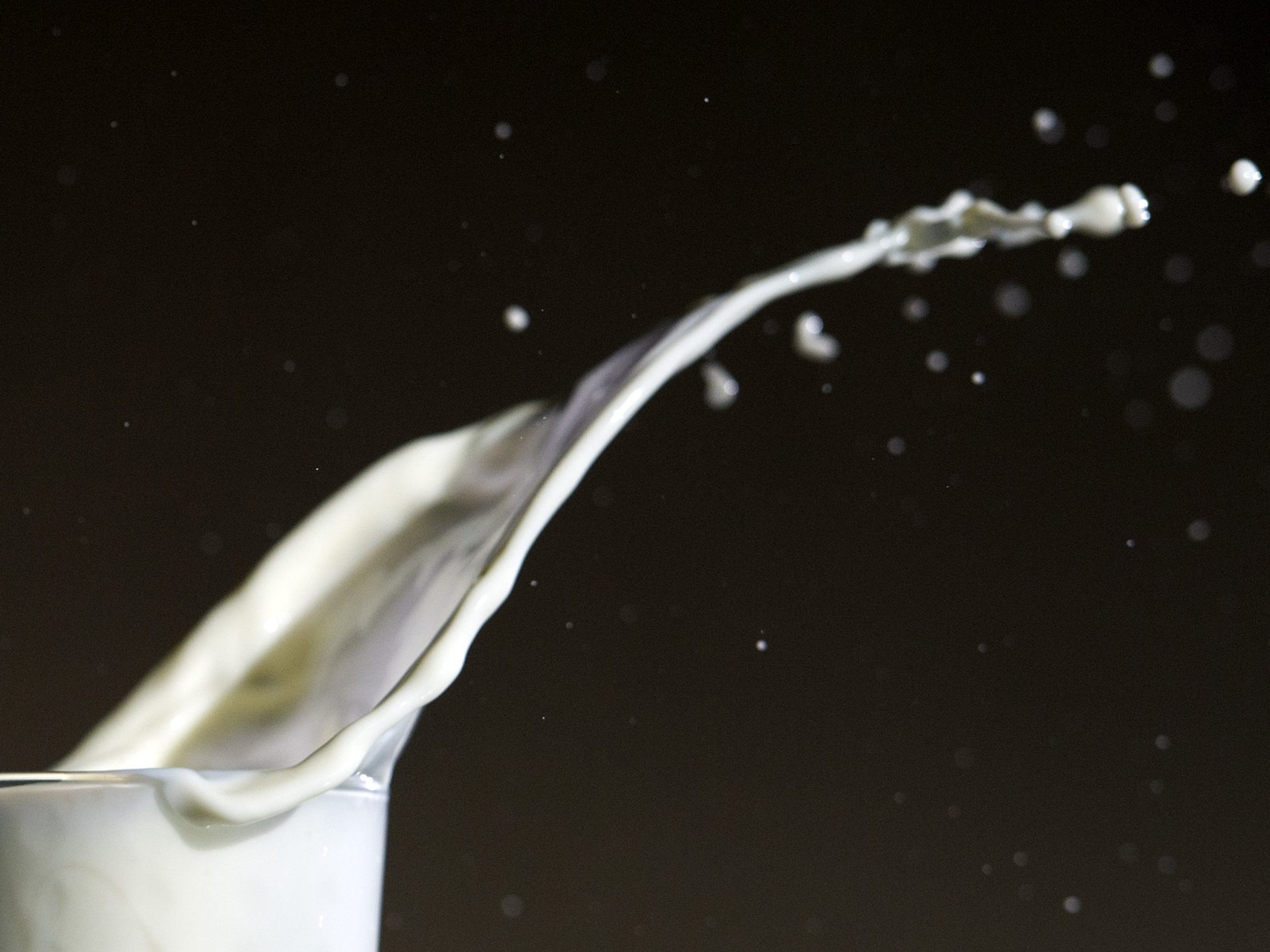 Welchen Hintergrund hat der Produktrückruf der Käserei Gloggnitz vom Freitag wegen einer Kontamination mit Listeria monocytogenes? Welchen Hintergrund hat der Produktrückruf der Käserei Gloggnitz vom Freitag wegen einer Kontamination mit Listeria monocytogenes?