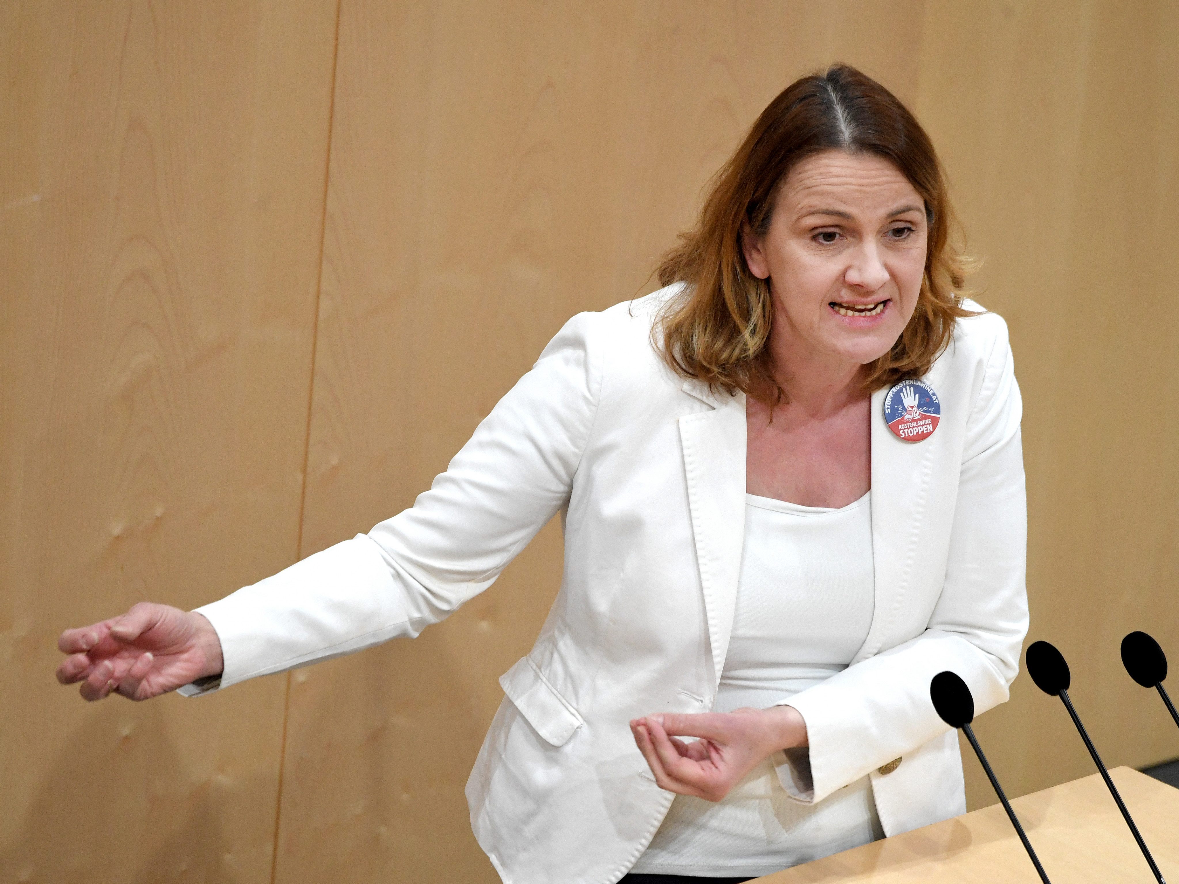 Die FPÖ will einen Stopp der CO2-Besteuerung erreichen.