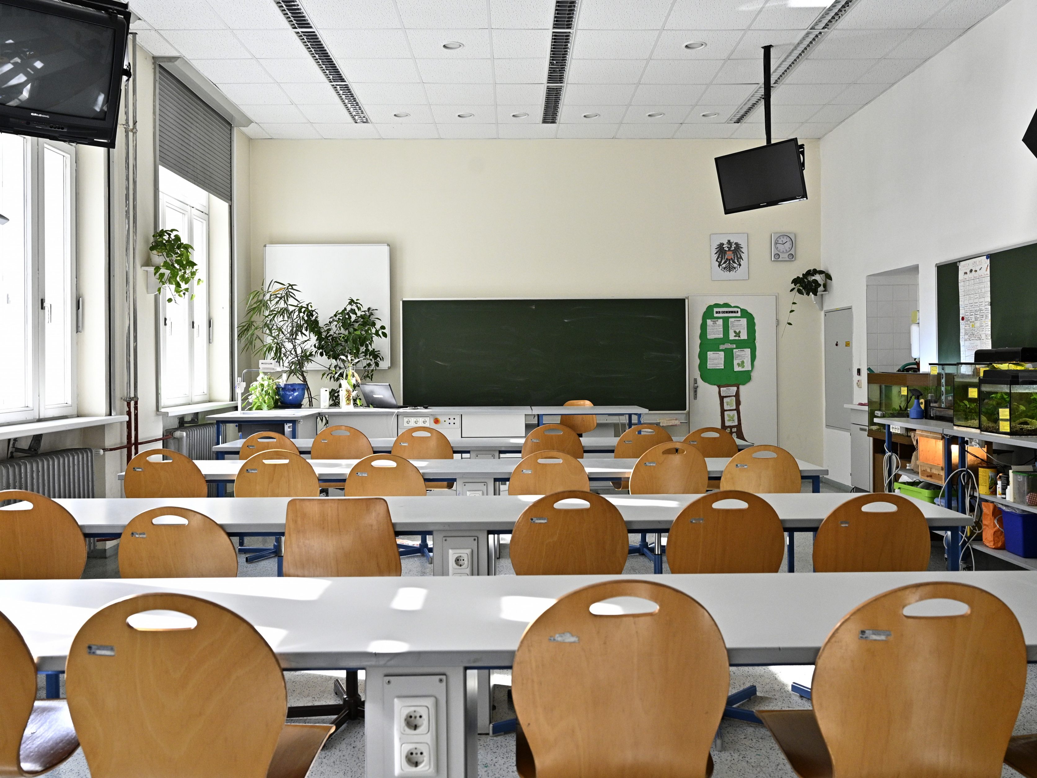 Das Pflichtfach "Digitale Grundbildung" steht ab dem neuen Schuljahr auf dem Lehrplan. Das Pflichtfach "Digitale Grundbildung" steht ab dem neuen Schuljahr auf dem Lehrplan.
