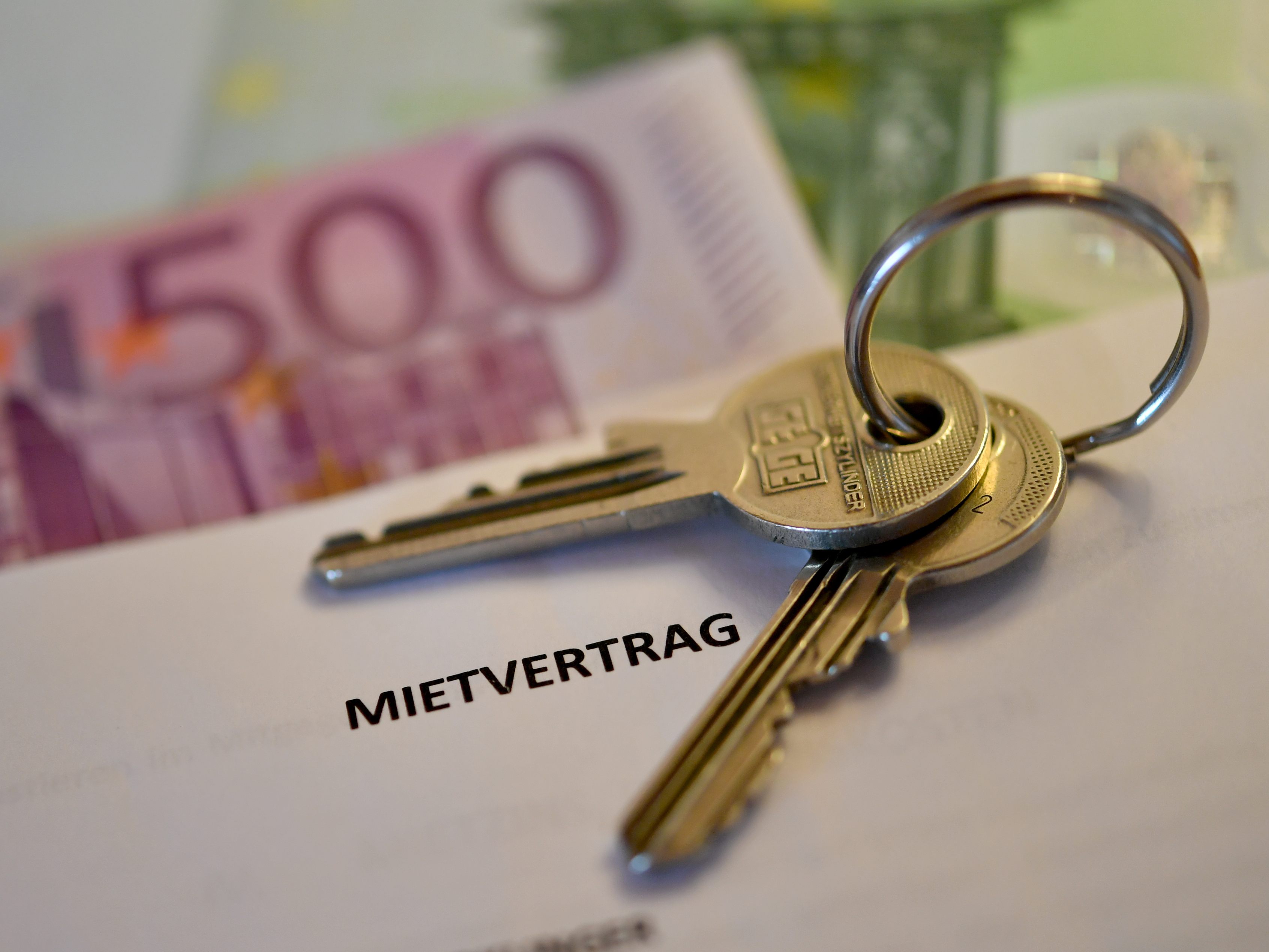 Die Österreicher mieten im Schnitt um 8,6 Euro pro Quadratmeter.