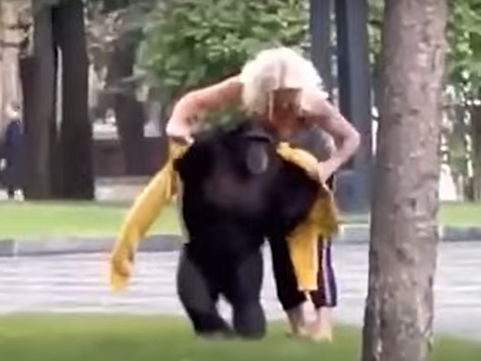 Affendame Chichi machte einen kleinen Stadtspaziergang. Affendame Chichi machte einen kleinen Stadtspaziergang.