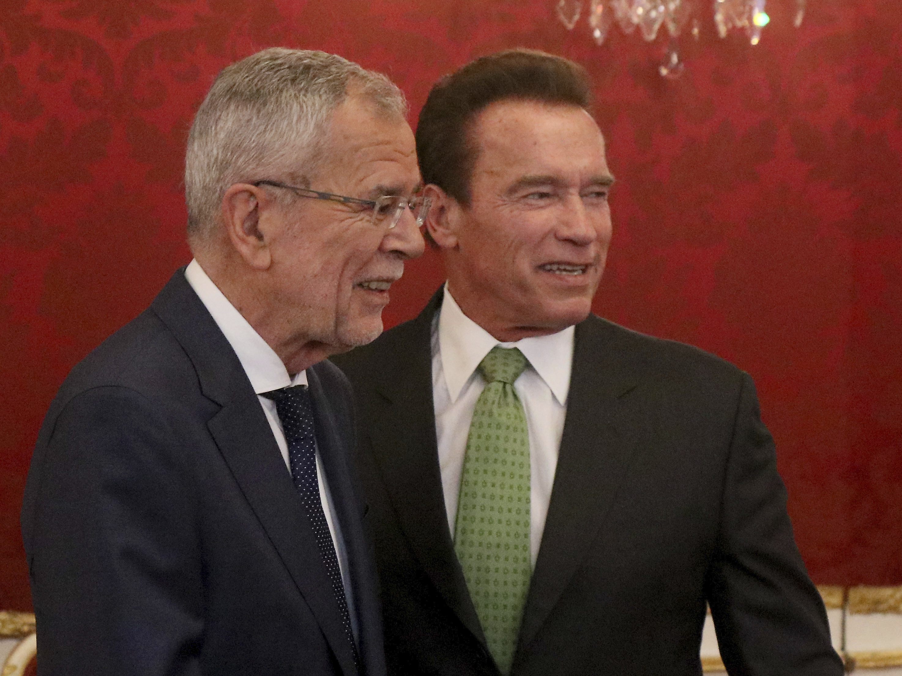 Schwarzenegger unterstützt Van der Bellen im Wahlkampf.