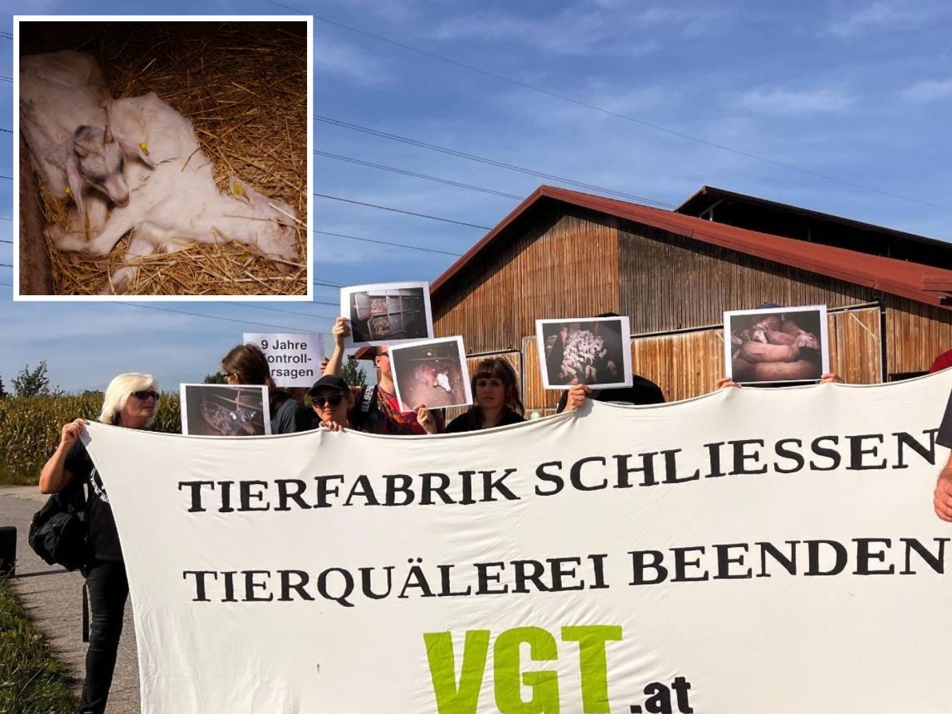 Der VGT demonstriert am Dienstag gegen das unfassbare Tierleid.