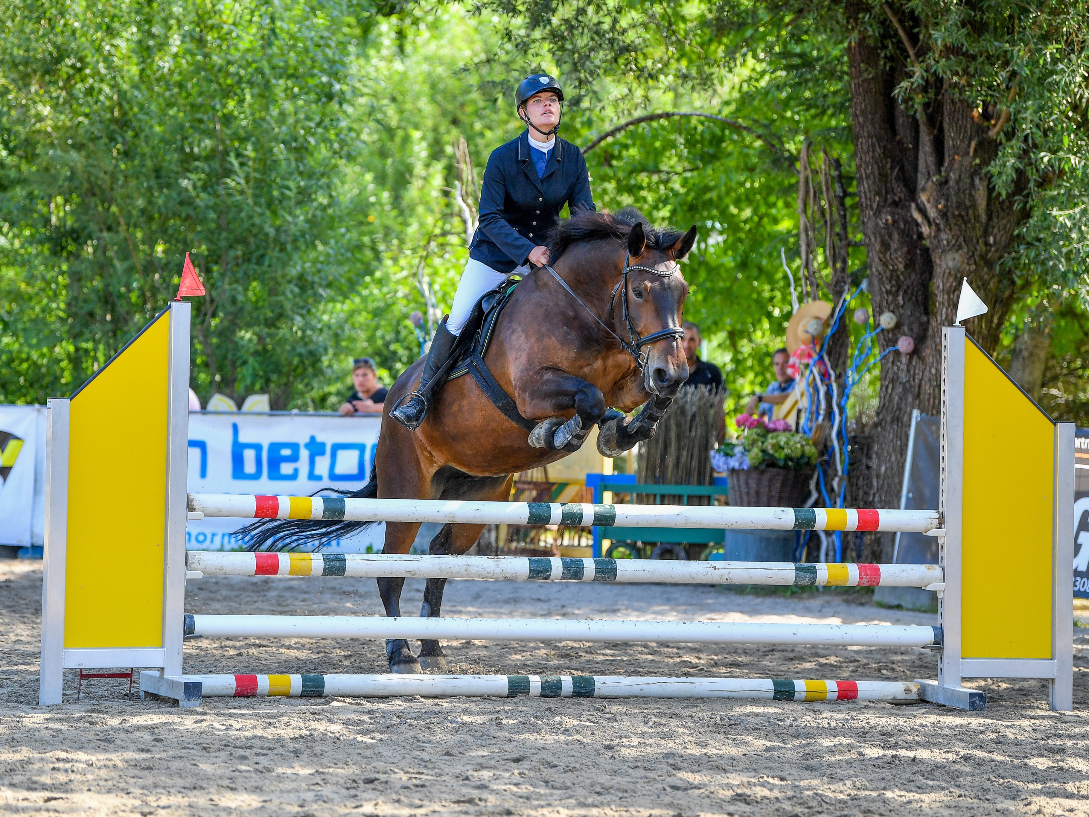 Stefanie Fetz und Sunrise holten sich in Salzburg den Bundesmeistertitel der Noriker Stefanie Fetz und Sunrise holten sich in Salzburg den Bundesmeistertitel der Noriker