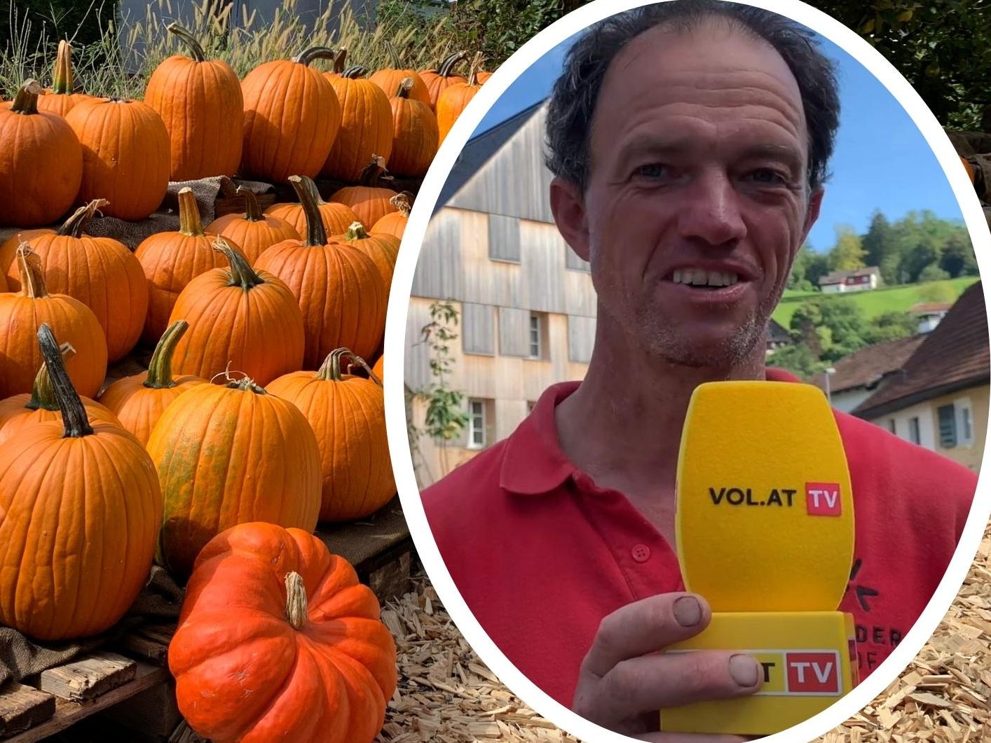 Mit Herbstbeginn startet für Martin Winder vom Winderhof in Dornbirn alljährlich auch die Kürbisernte. Mit Herbstbeginn startet für Martin Winder vom Winderhof in Dornbirn alljährlich auch die Kürbisernte.