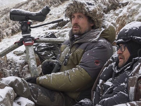 Dokumentarfilm - Der Schnee-Leopard