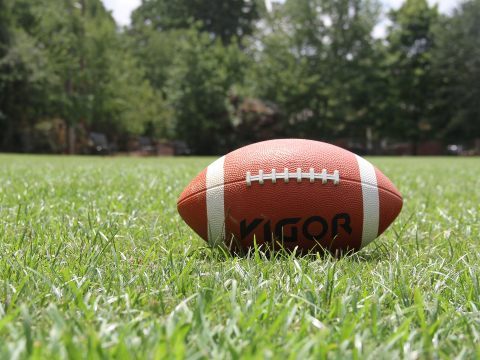 Vienna Vikings spielen ELF-Halbfinale im eigenen Sportzentrum.