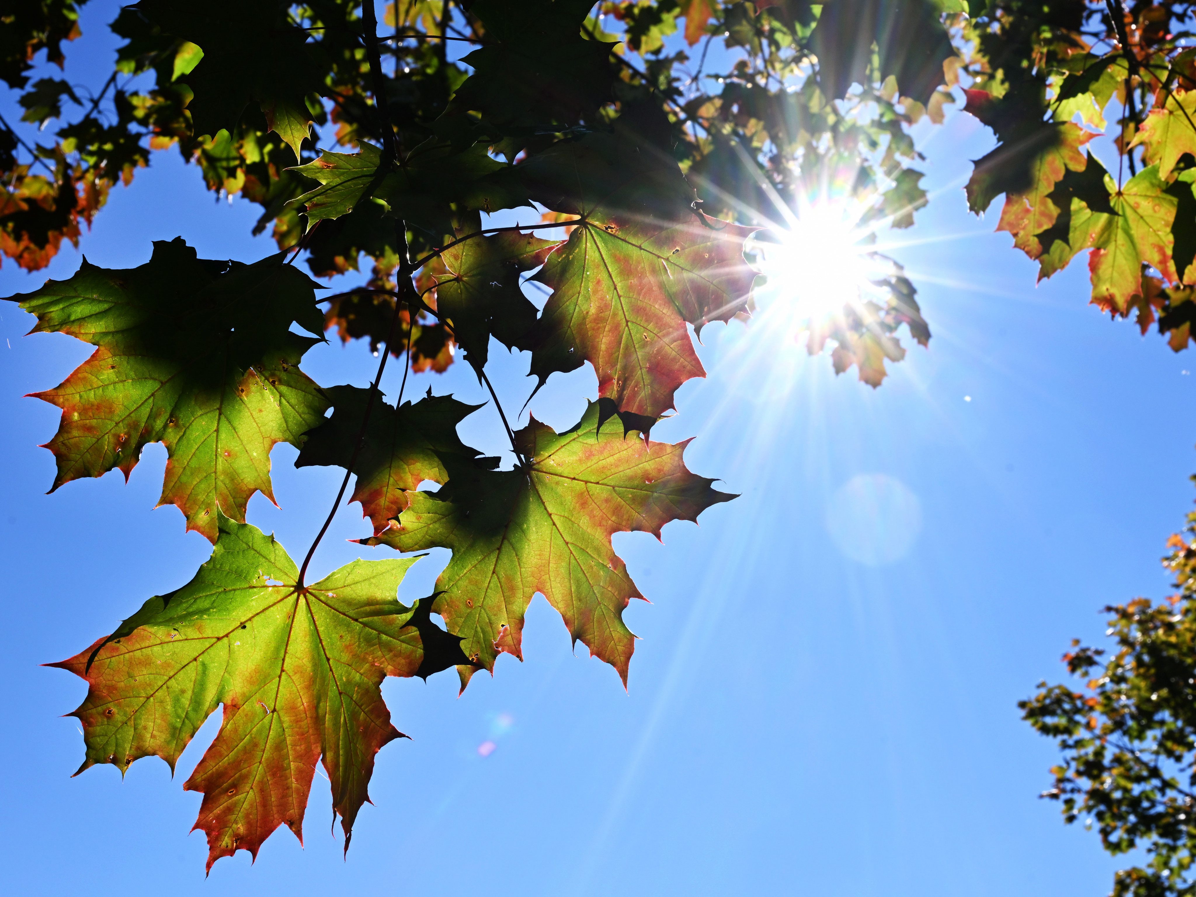 Wie sieht das Wetter in der neuen Woche aus? Wie sieht das Wetter in der neuen Woche aus?