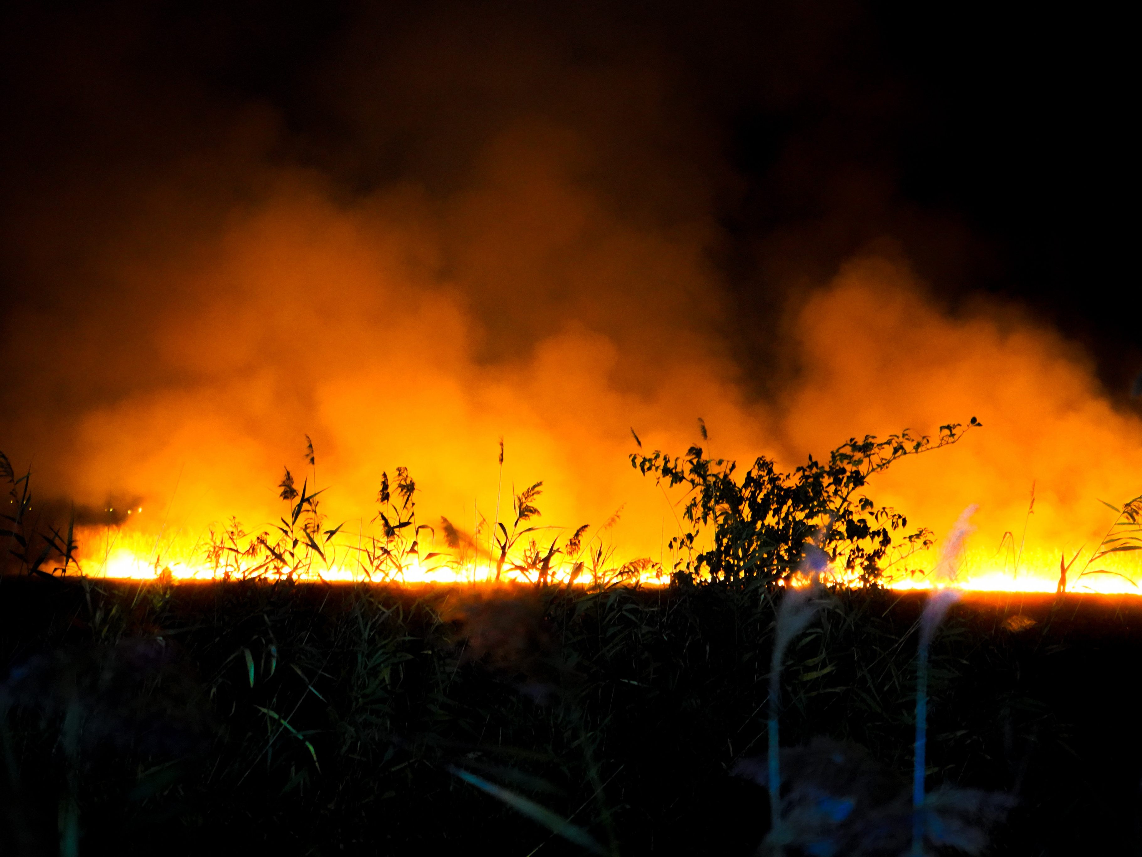 Feuerwehr-Großeinsatz bei Schilfbrand am Neusiedler See. Feuerwehr-Großeinsatz bei Schilfbrand am Neusiedler See.