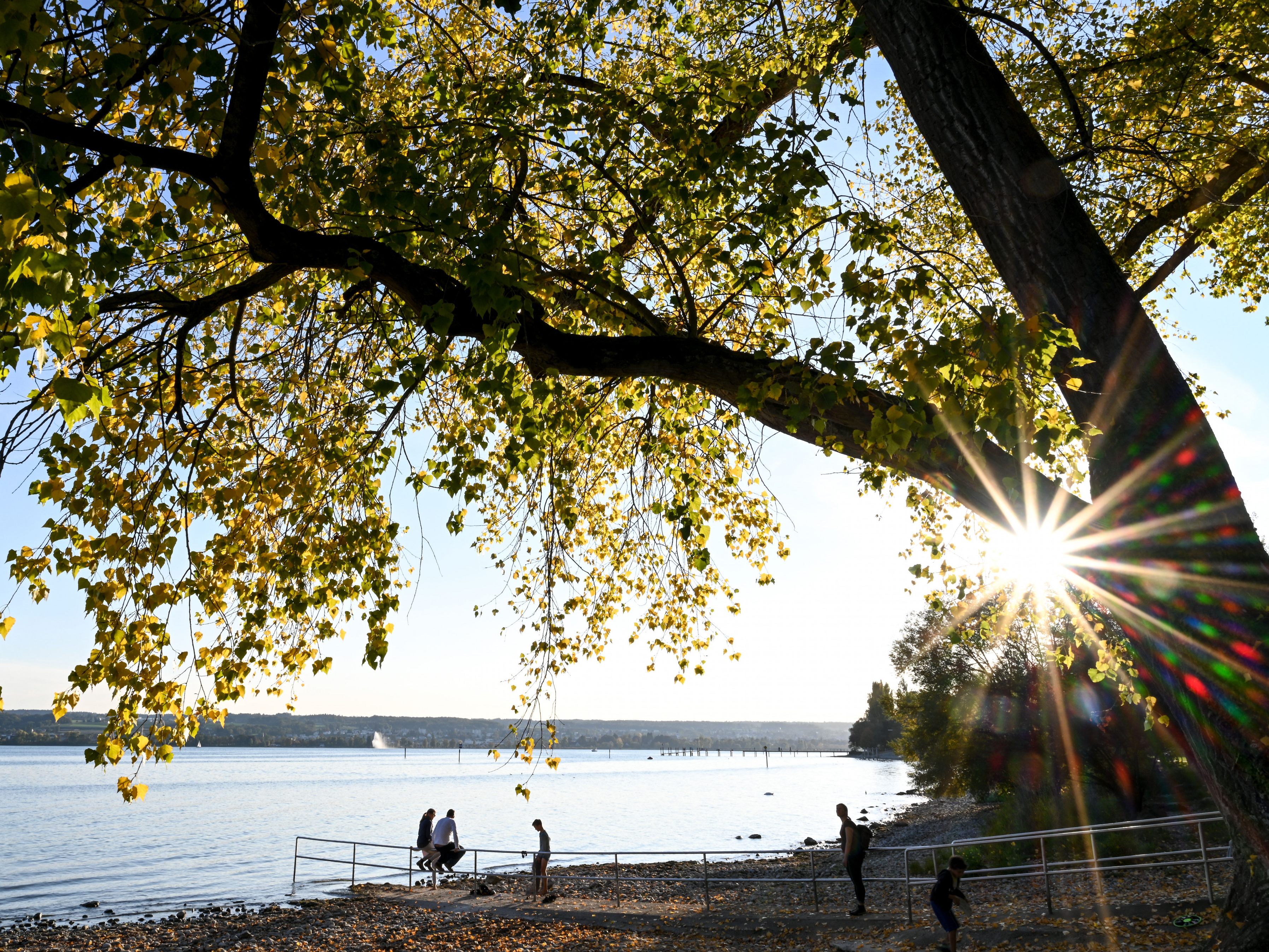 Das Wetter bleibt auch in der kommenden Woche zu mild.