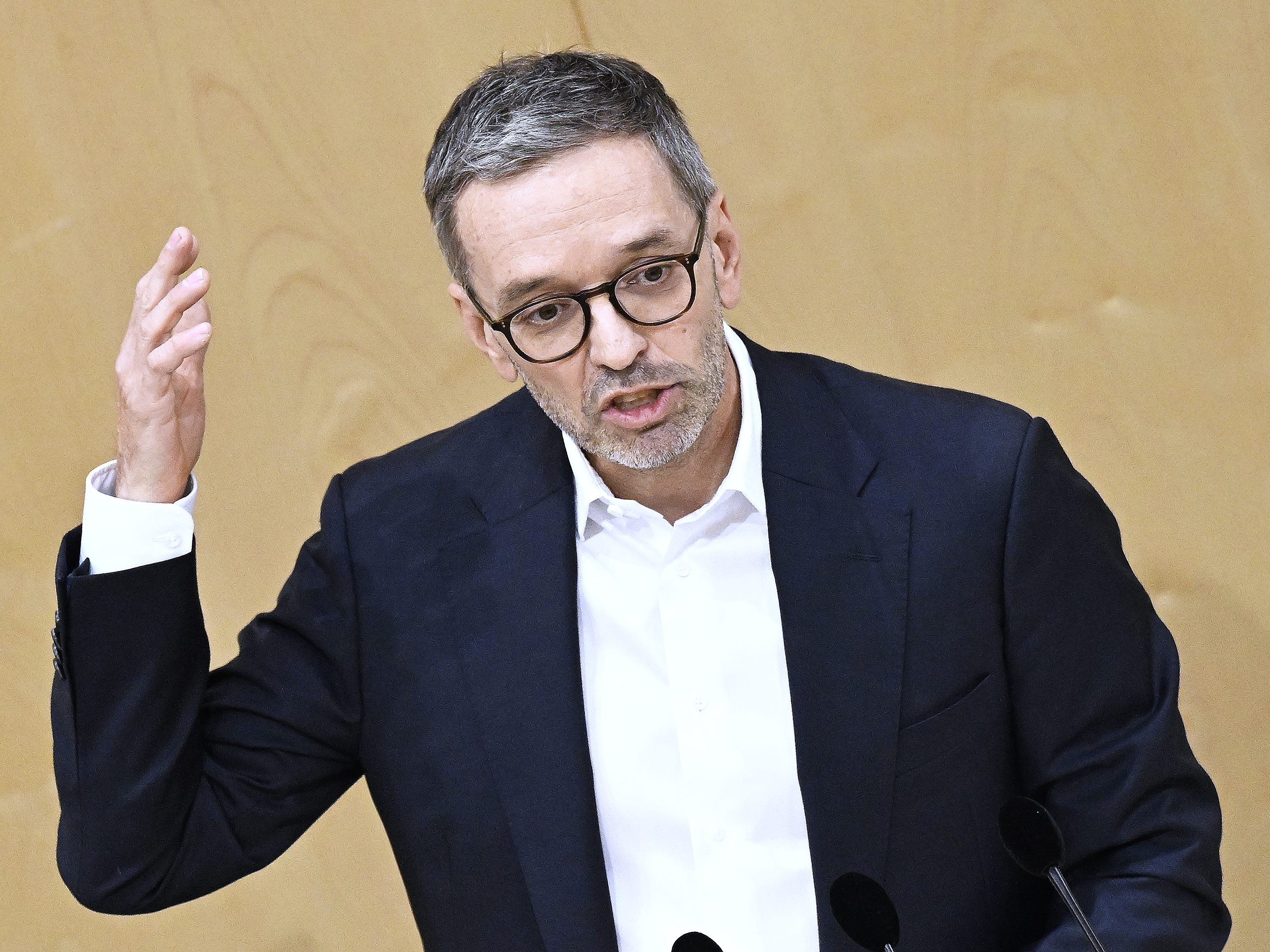 FPÖ-Parteichef Herbert Kickl fordert ein Dashboard für "Illegale Einwanderung und Asyl".