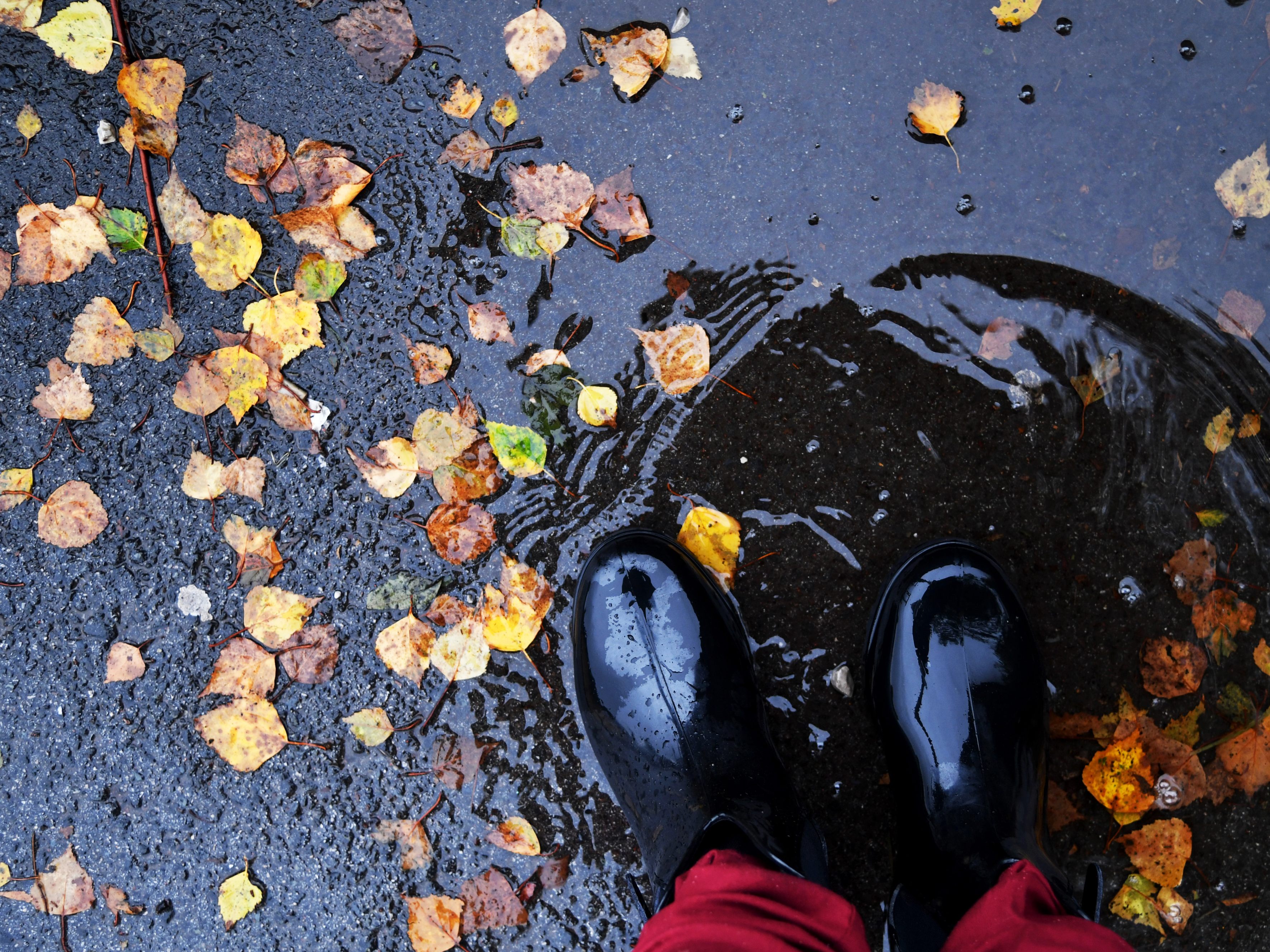 Am Wochenende wird das milde Herbstwetter von Wolken und Regen unterbrochen.