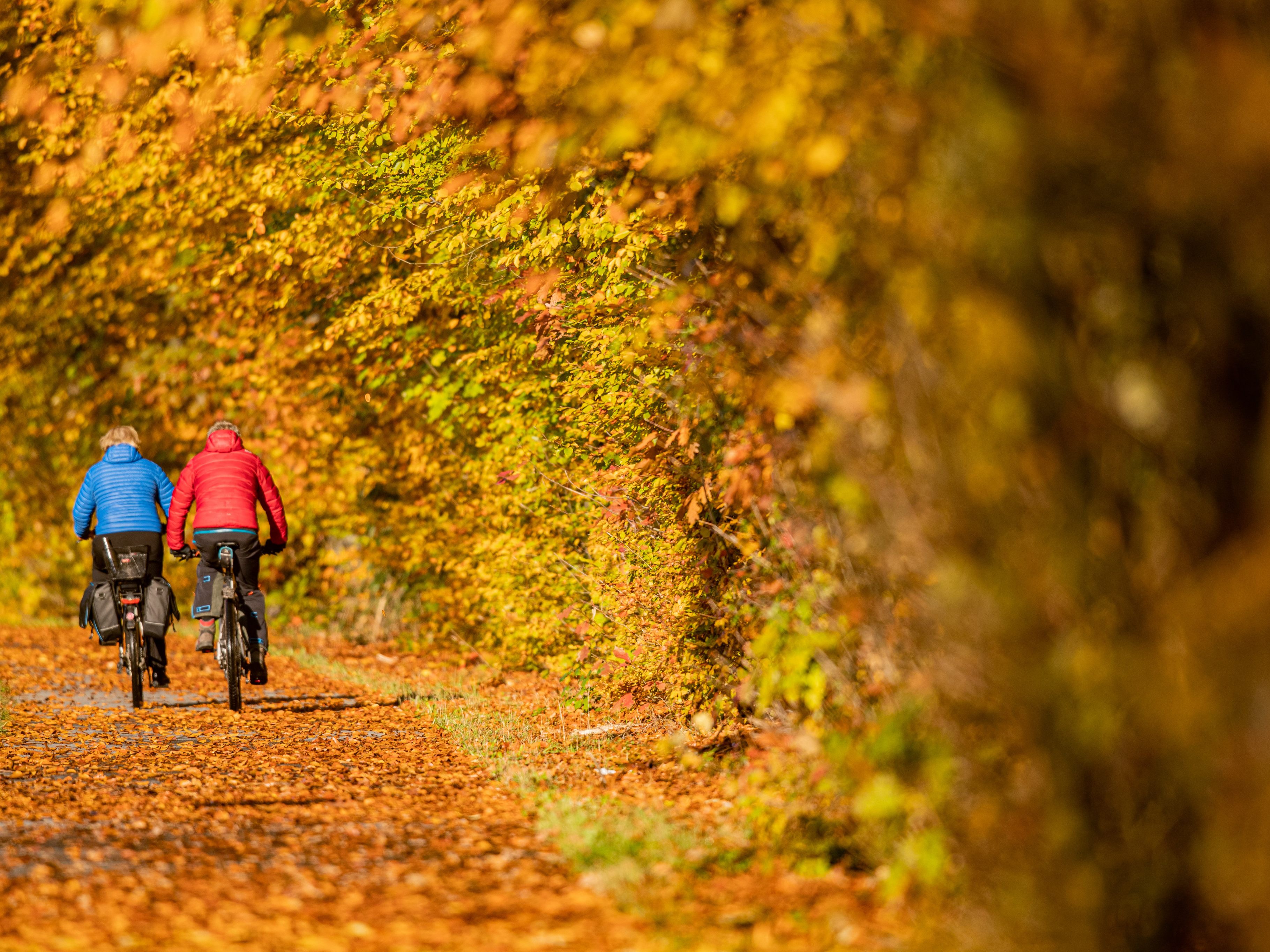 Wetter in Österreich - Goldener Oktober, Schönheitsfehler am Samstag.