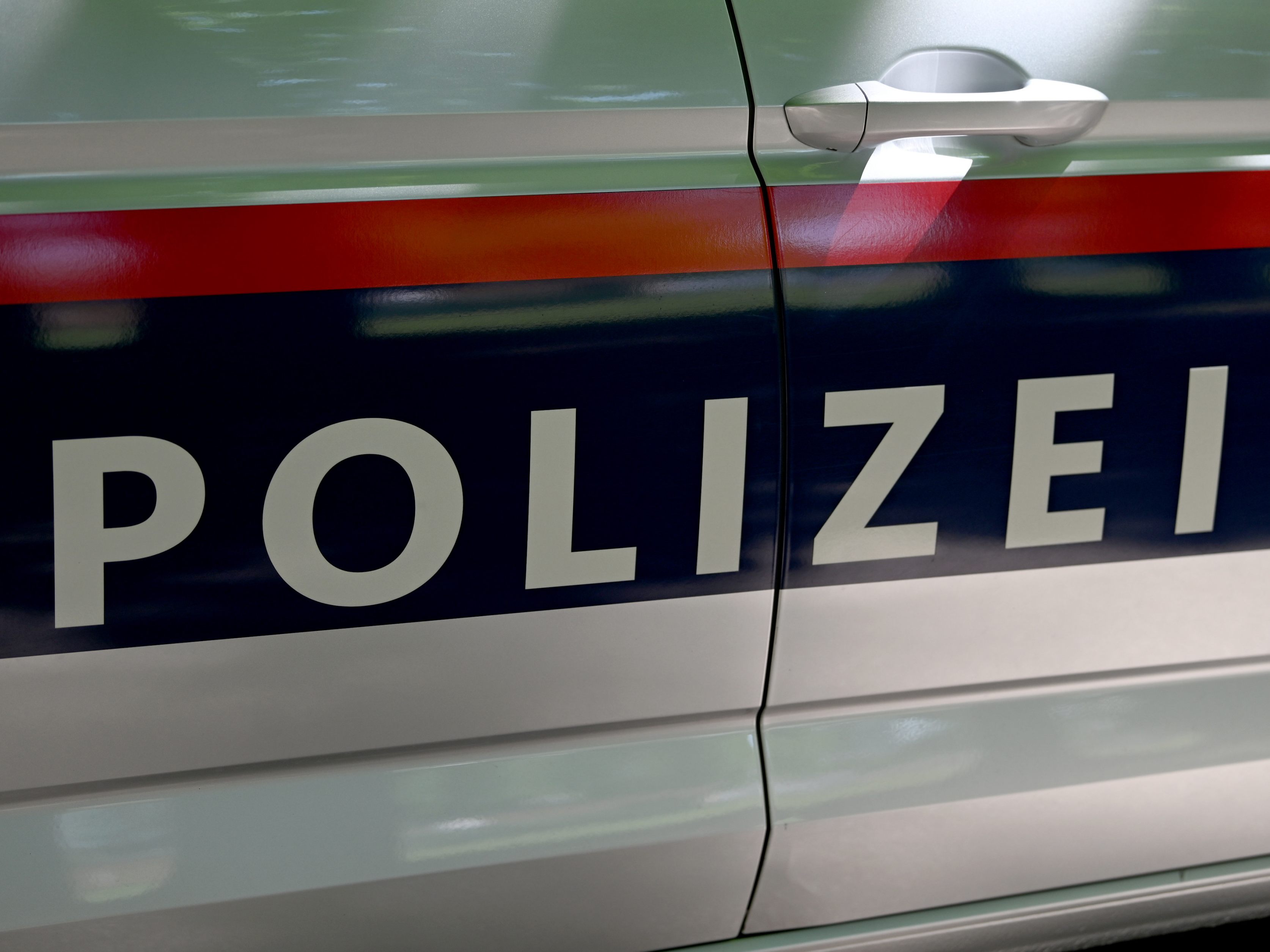 Die Polizei hat einen Mann in Wien-Favoriten wegen häuslicher Gewalt festgenommen. Die Polizei hat einen Mann in Wien-Favoriten wegen häuslicher Gewalt festgenommen.