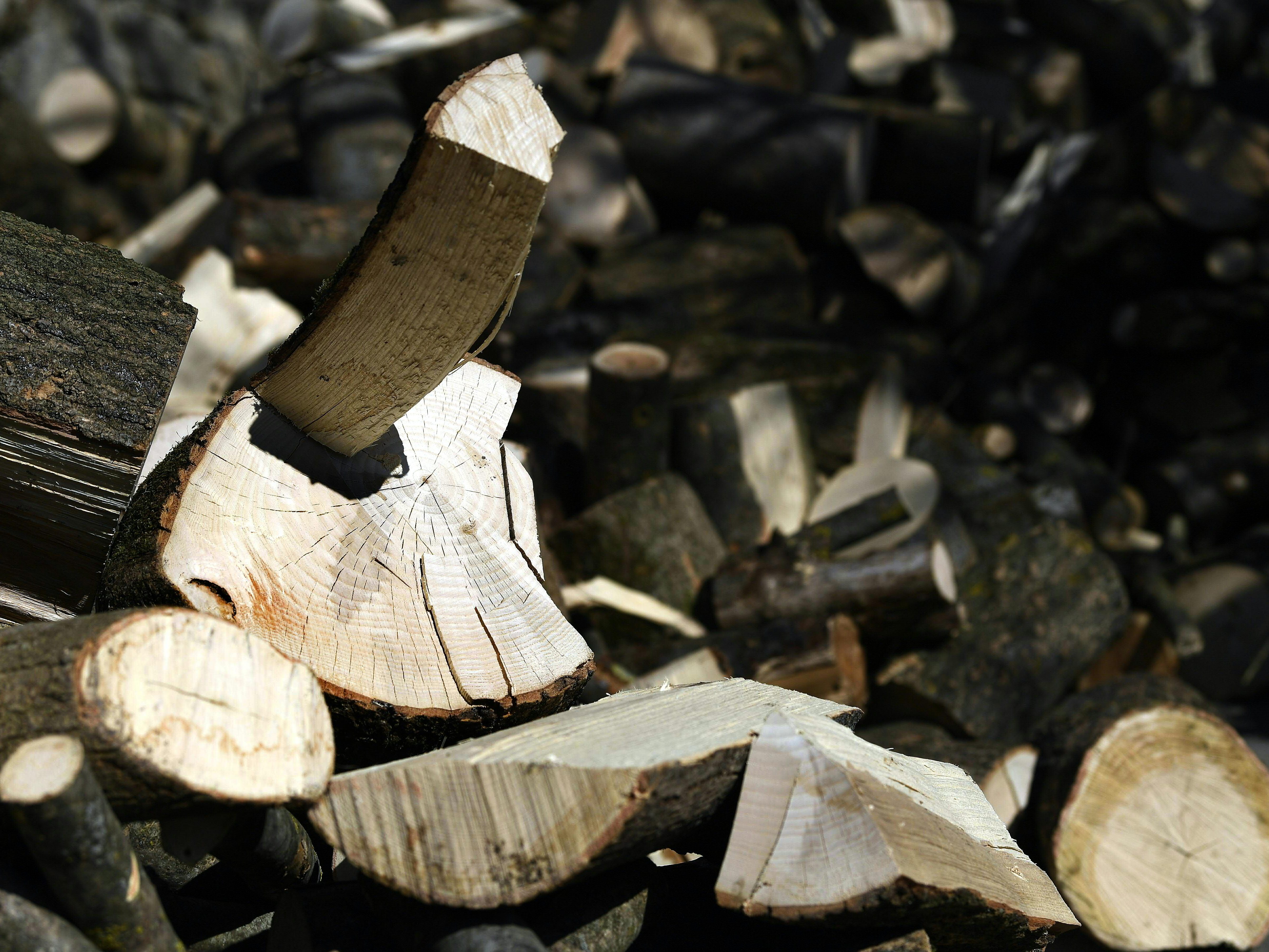 Zahlungsausfallrisiko steigt im Handel, Holz- und Verpackungsbranche.