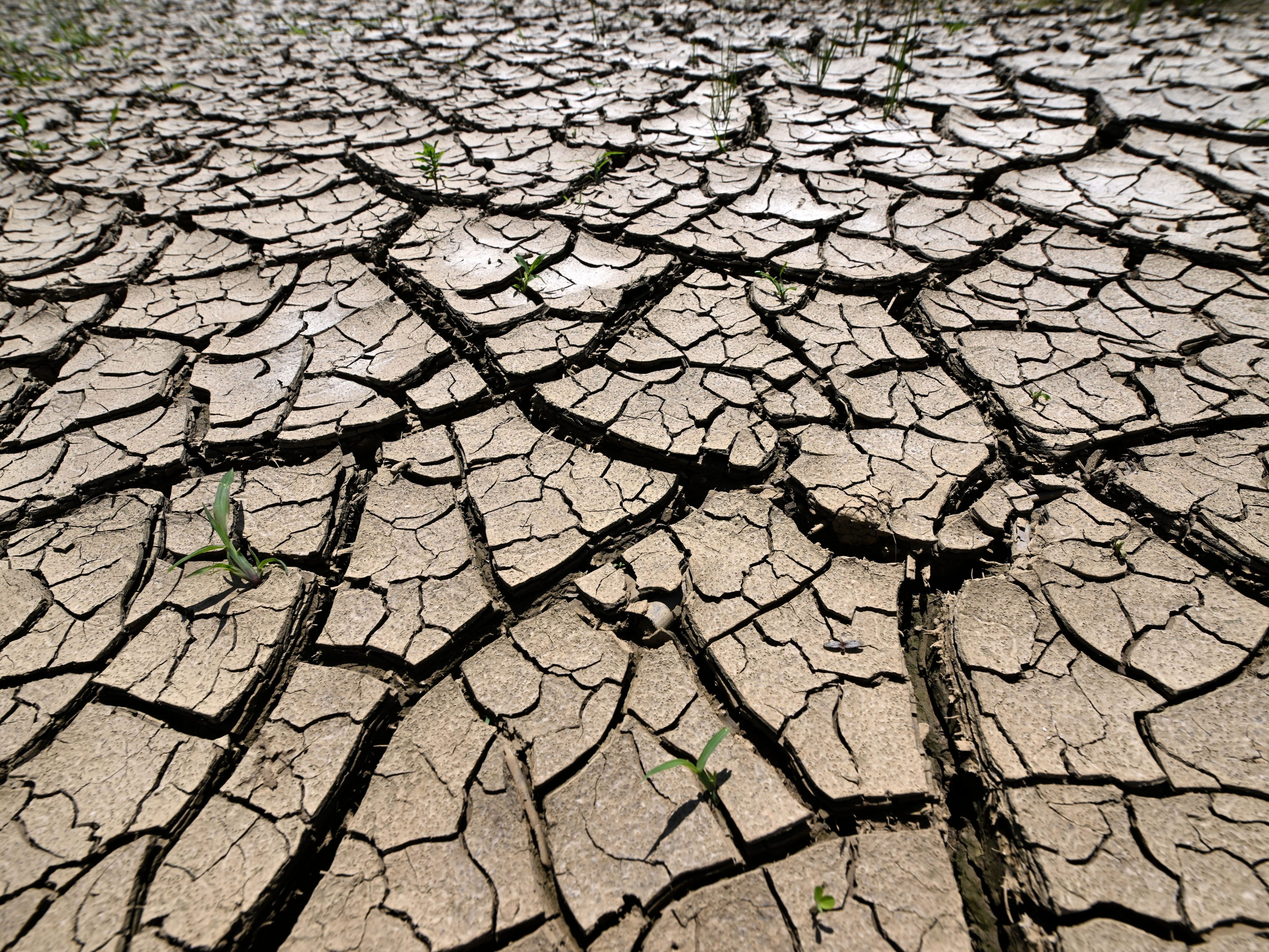 Durch den Klimawandel wird es in Europa alle 20 Jahre zu extremen Dürren kommen. Durch den Klimawandel wird es in Europa alle 20 Jahre zu extremen Dürren kommen.