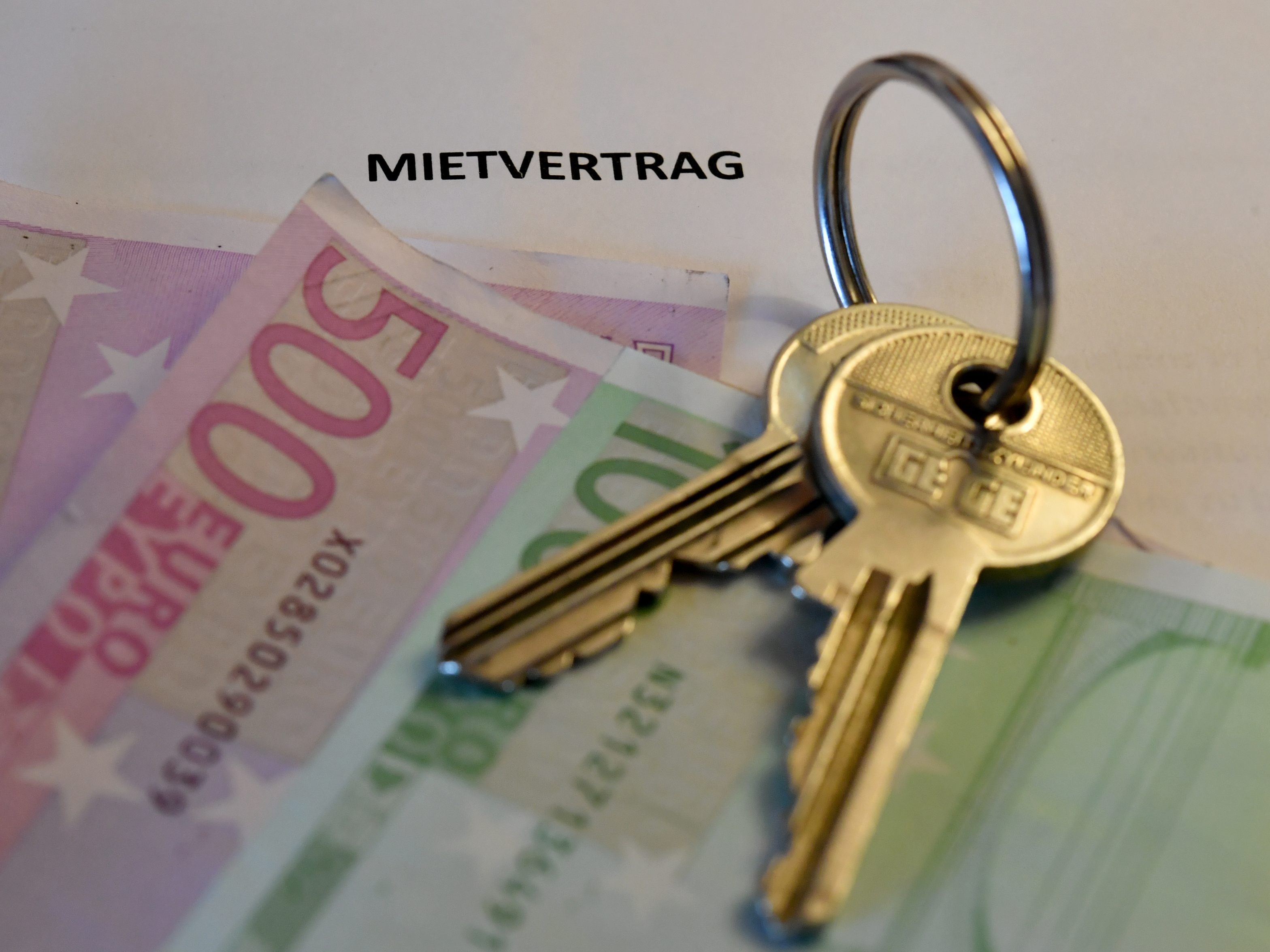 Auf Antrag der SPÖ NÖ beschäftigt sich der Landtag mit dem Thema "Leistbares Wohnen".