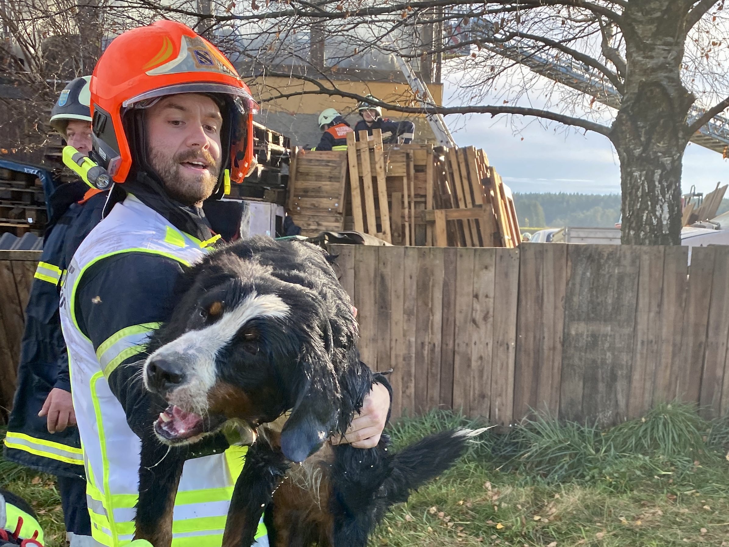 Vier Hunde konnte die Feuerwehr bei einem Wohnhausbrand retten.