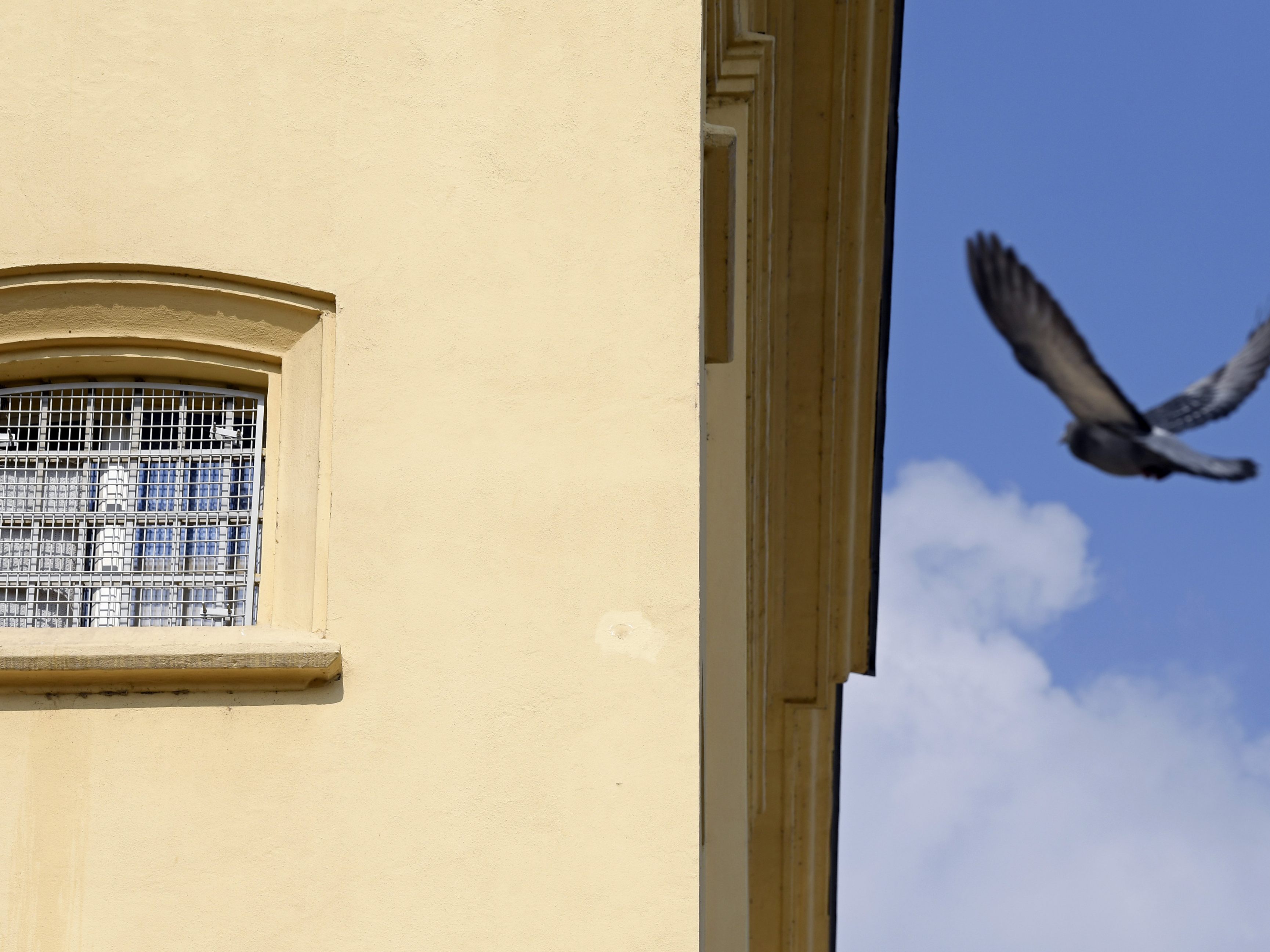 Peter Seisenbacher soll womöglich bald aus dem Gefängnis freikommen.