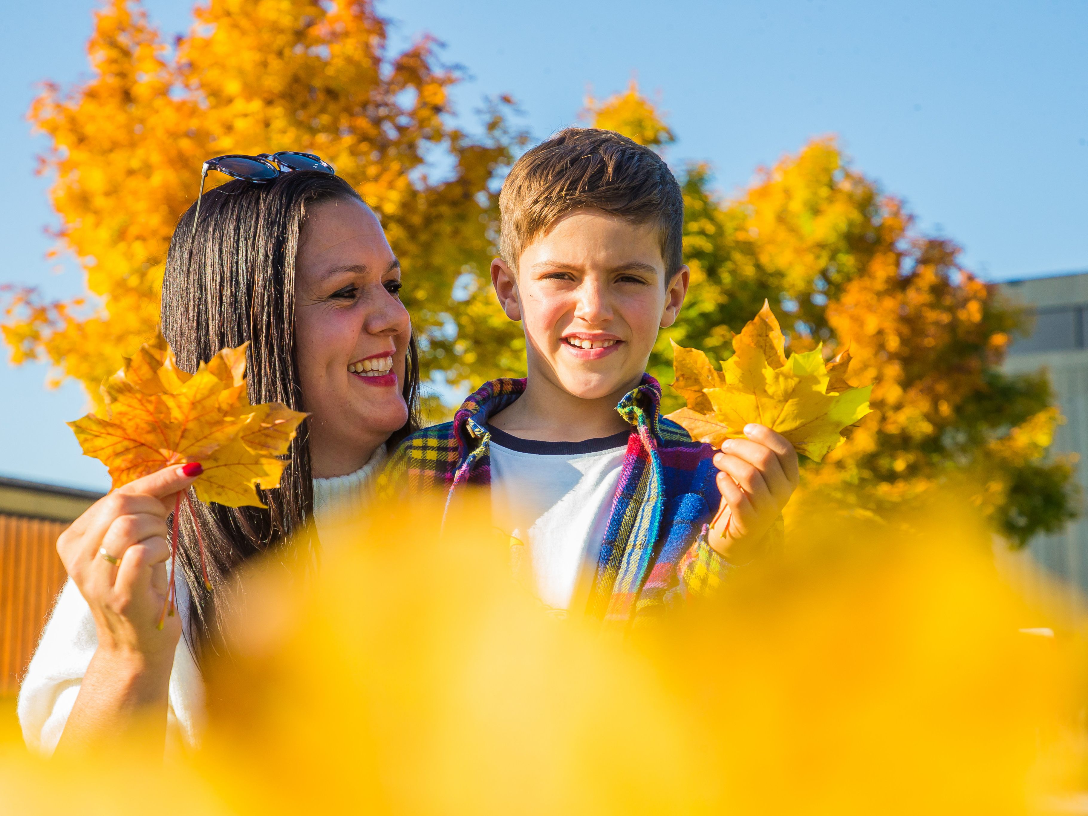 Goldener Herbsttag am Sonntag. Goldener Herbsttag am Sonntag.