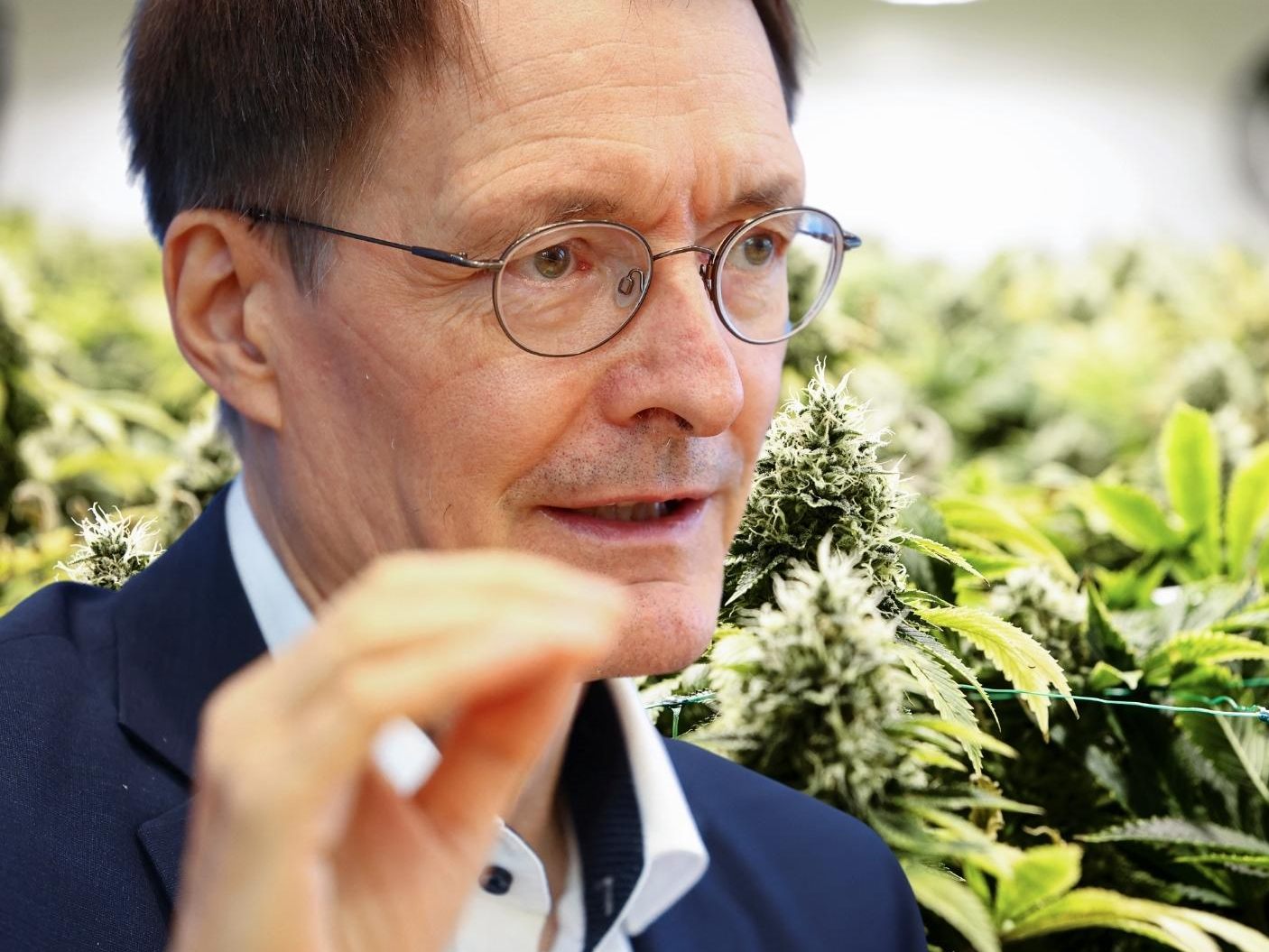 Cannabis-Legalisierung in Deutschland Cannabis-Legalisierung in Deutschland