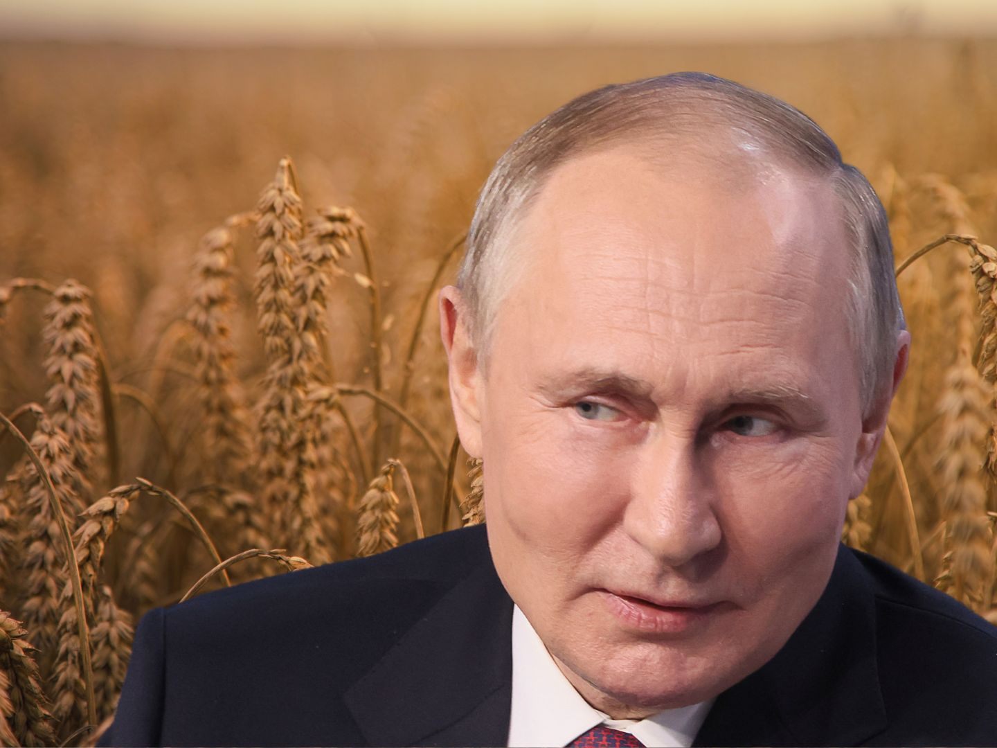 Moskau stoppt den Getreide-Deal mit der Ukraine.