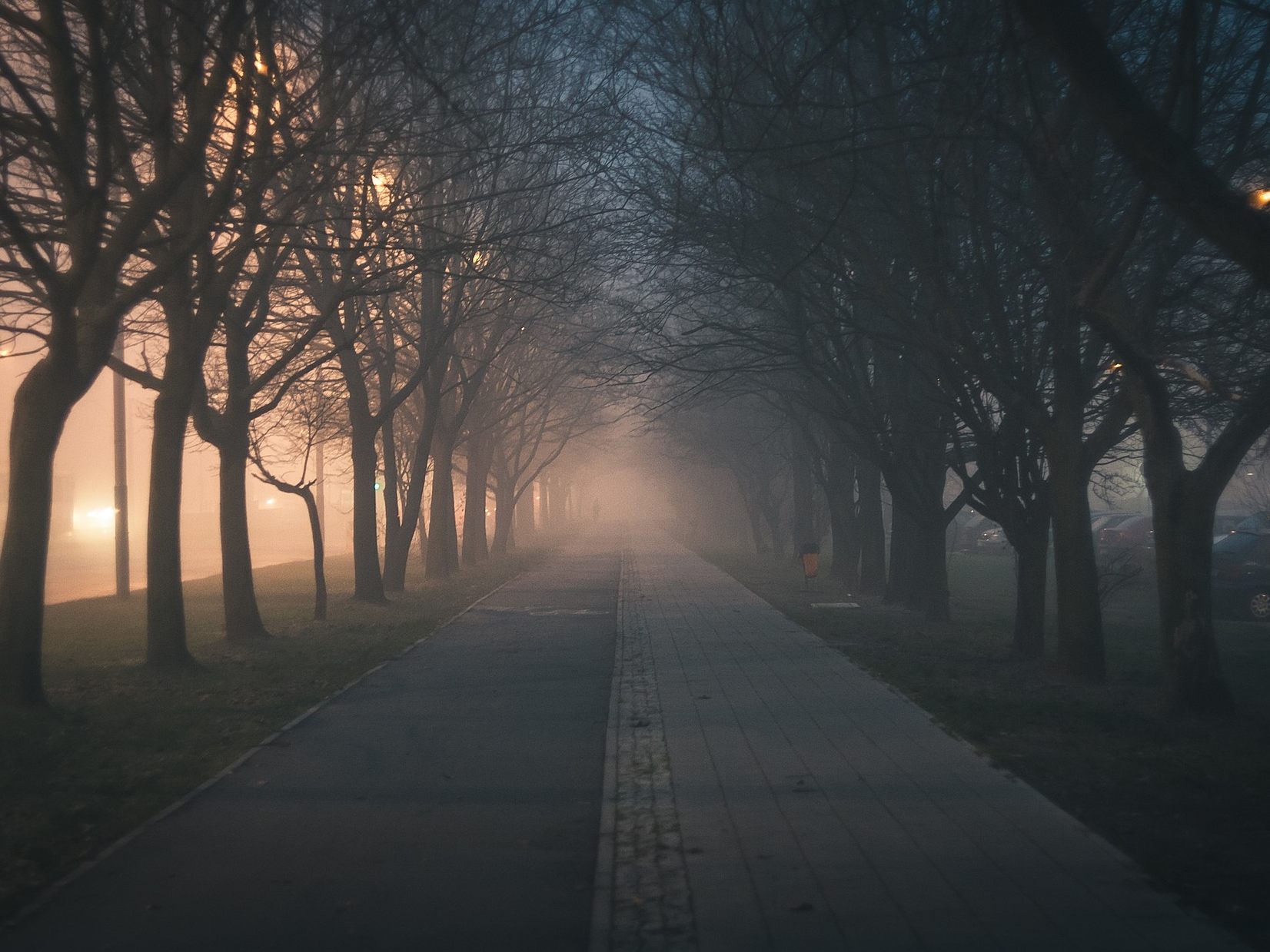 Diesen Straßenverkehrsmythen begegnet man oft im Herbst.