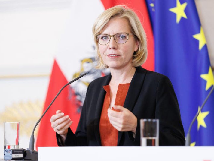 Das Klimaministerium unter Leonore Gewessler (Grüne) will das Energielenkungsgesetz reformieren. Das Klimaministerium unter Leonore Gewessler (Grüne) will das Energielenkungsgesetz reformieren.