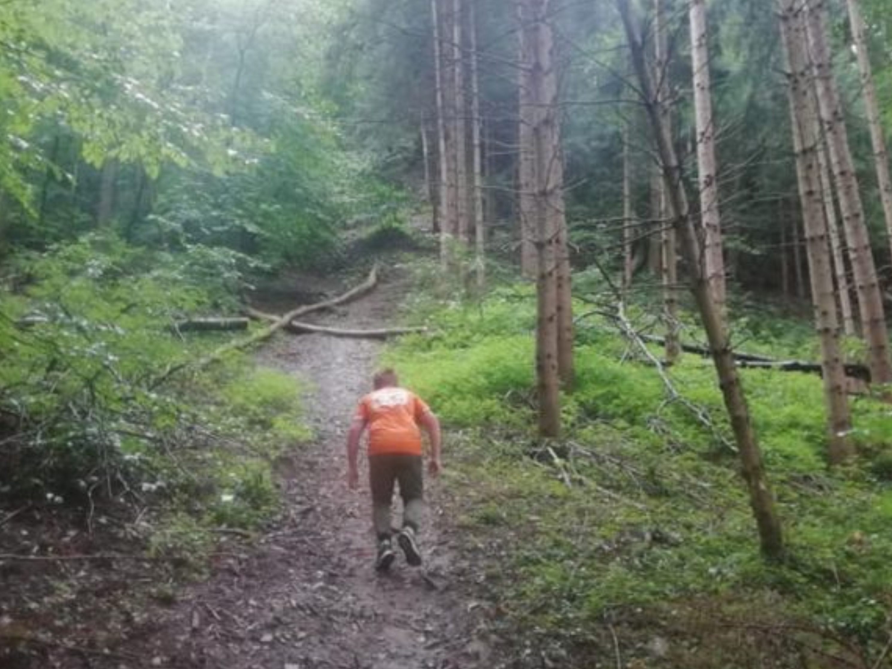 Im Rahmen der Initiative „Walgau-Wiesen-Wunder-Welt“ soll die Bevölkerung für die Schönheit und Bedeutung der Flora und Fauna sensibilisiert werden Im Rahmen der Initiative „Walgau-Wiesen-Wunder-Welt“ soll die Bevölkerung für die Schönheit und Bedeutung der Flora und Fauna sensibilisiert werden
