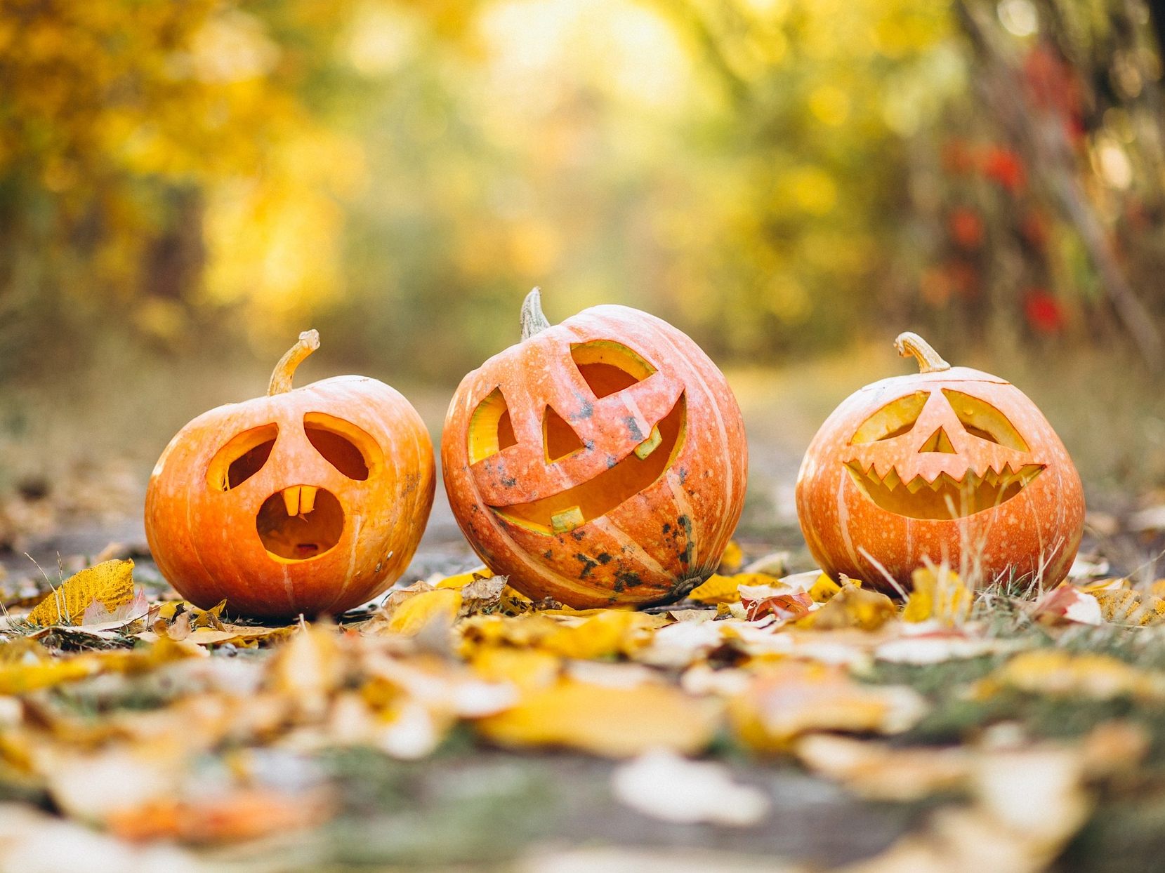 Über die Häflte der jungen Österreicher hat vor, Halloween zu feiern.