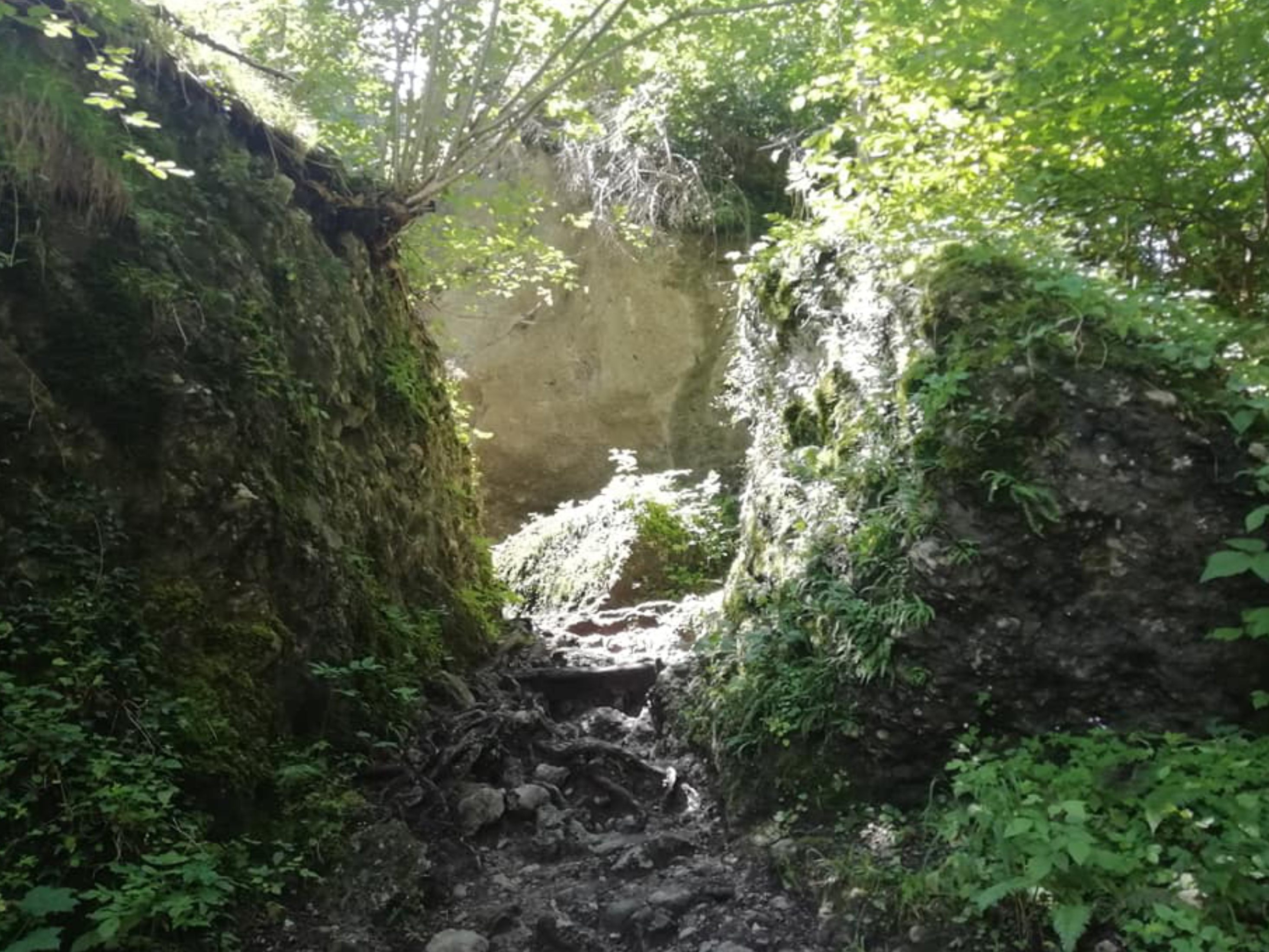 Die Üble Schlucht in Laterns wird Vorarlberg beim großen Bundesländerfinale in Wien zum schönsten Platz in Österreich vertreten