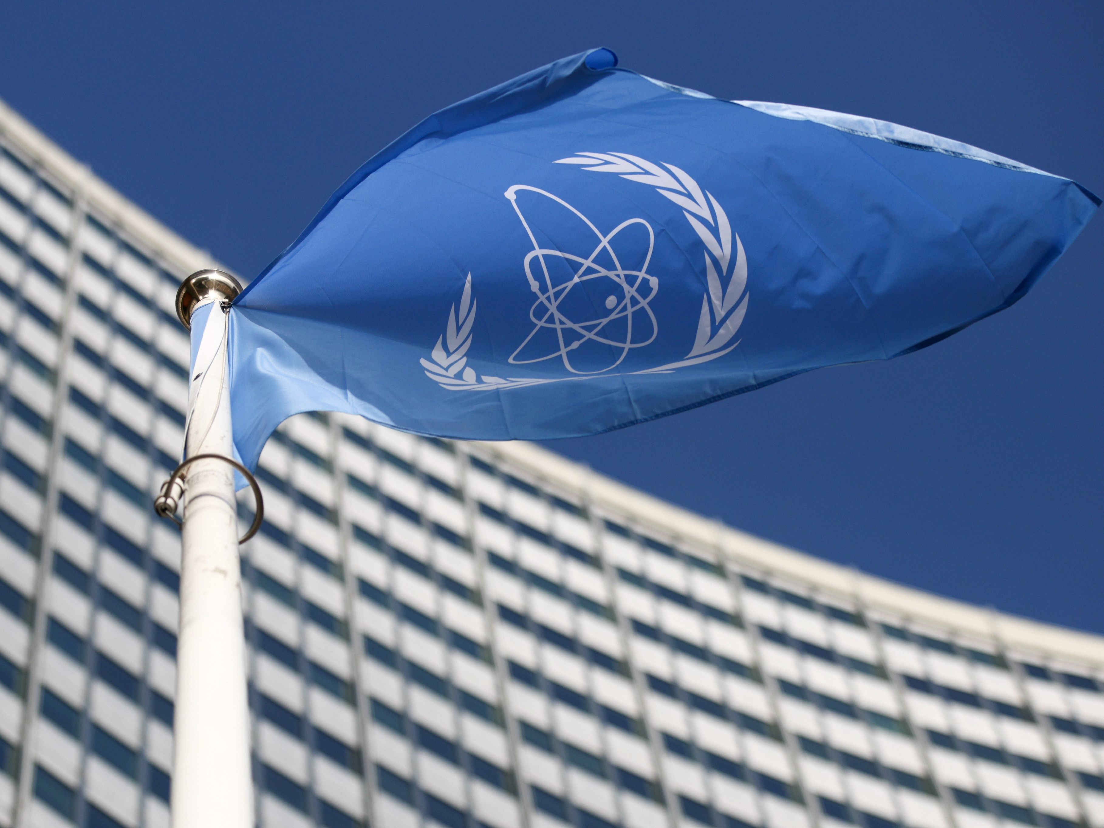 IAEA: Samen sollen in Niederösterreich wachsen.