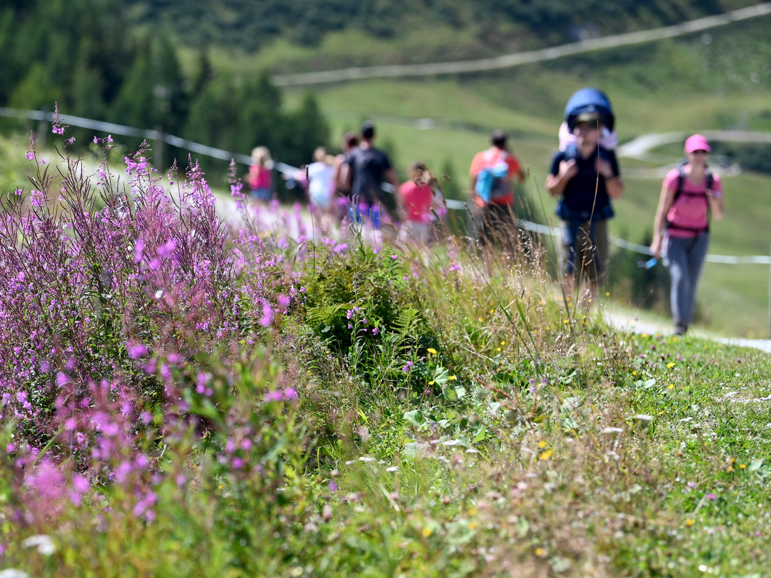 Die Übernachtungen im Sommertourismus liegen heuer knapp unter dem Vor-Corona-Niveau.