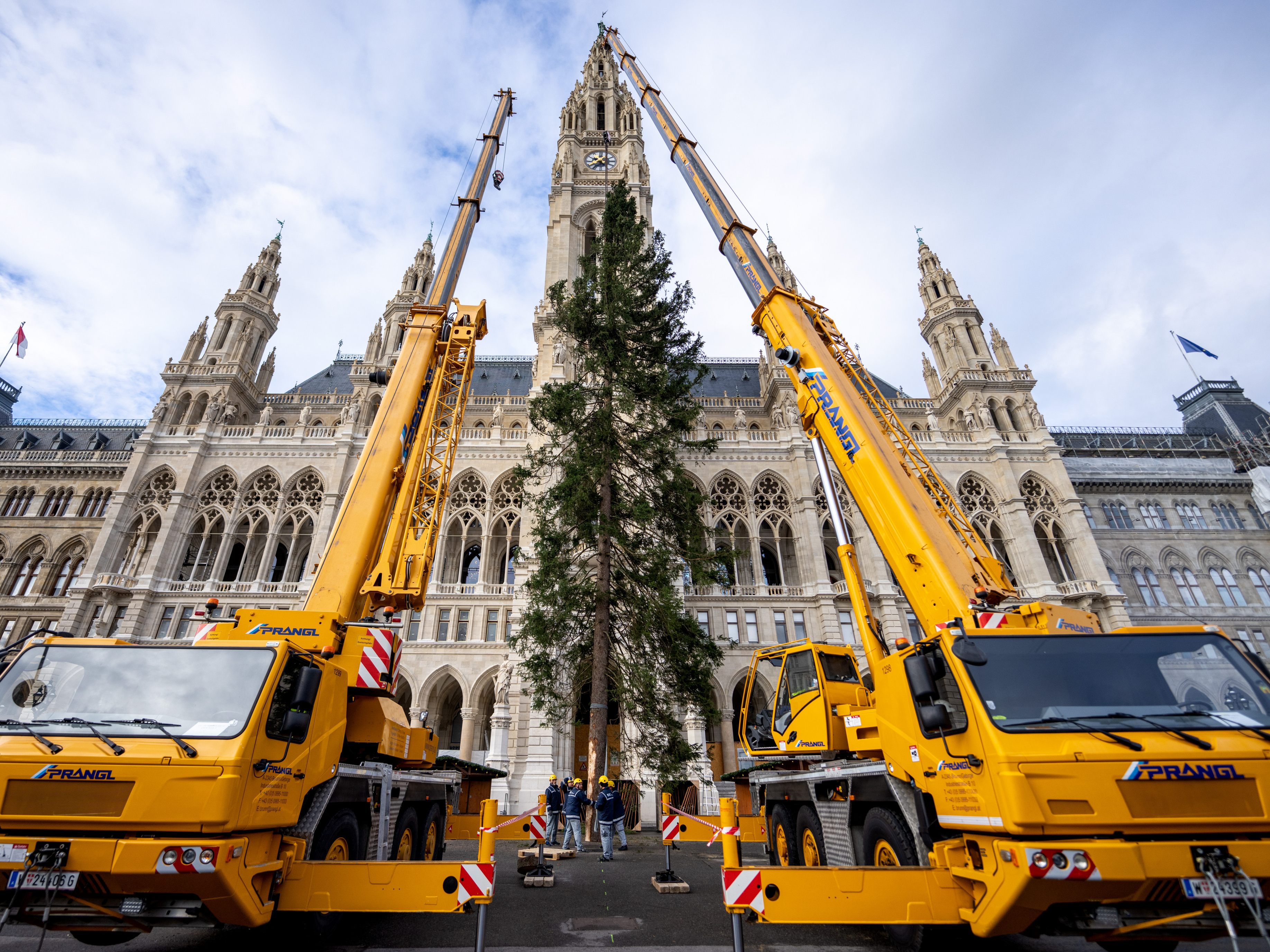 Der Christbaum am Wiener Rathausplatz steht. Heuer sollen ihn 1.650 Led-Lampen schmücken.