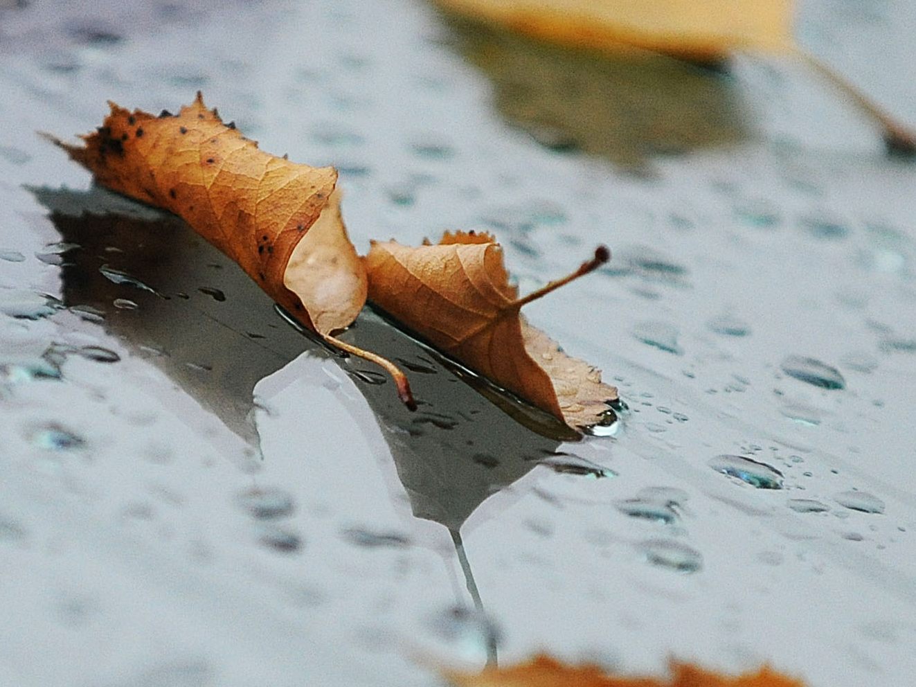 Am Wochenende bringt eine Kaltfront Regen und kaltes Wetter nach Österreich. Am Wochenende bringt eine Kaltfront Regen und kaltes Wetter nach Österreich.