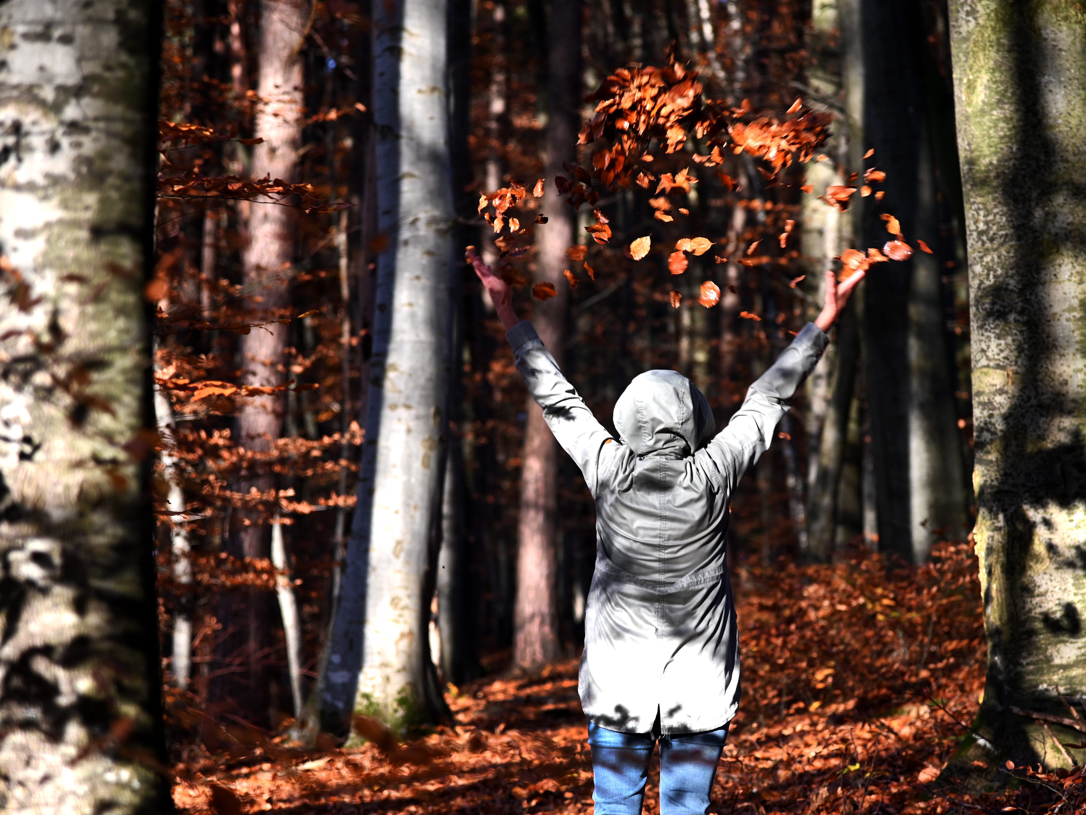 Wetter bleibt sehr mild, vor allem in den Bergen. Wetter bleibt sehr mild, vor allem in den Bergen.
