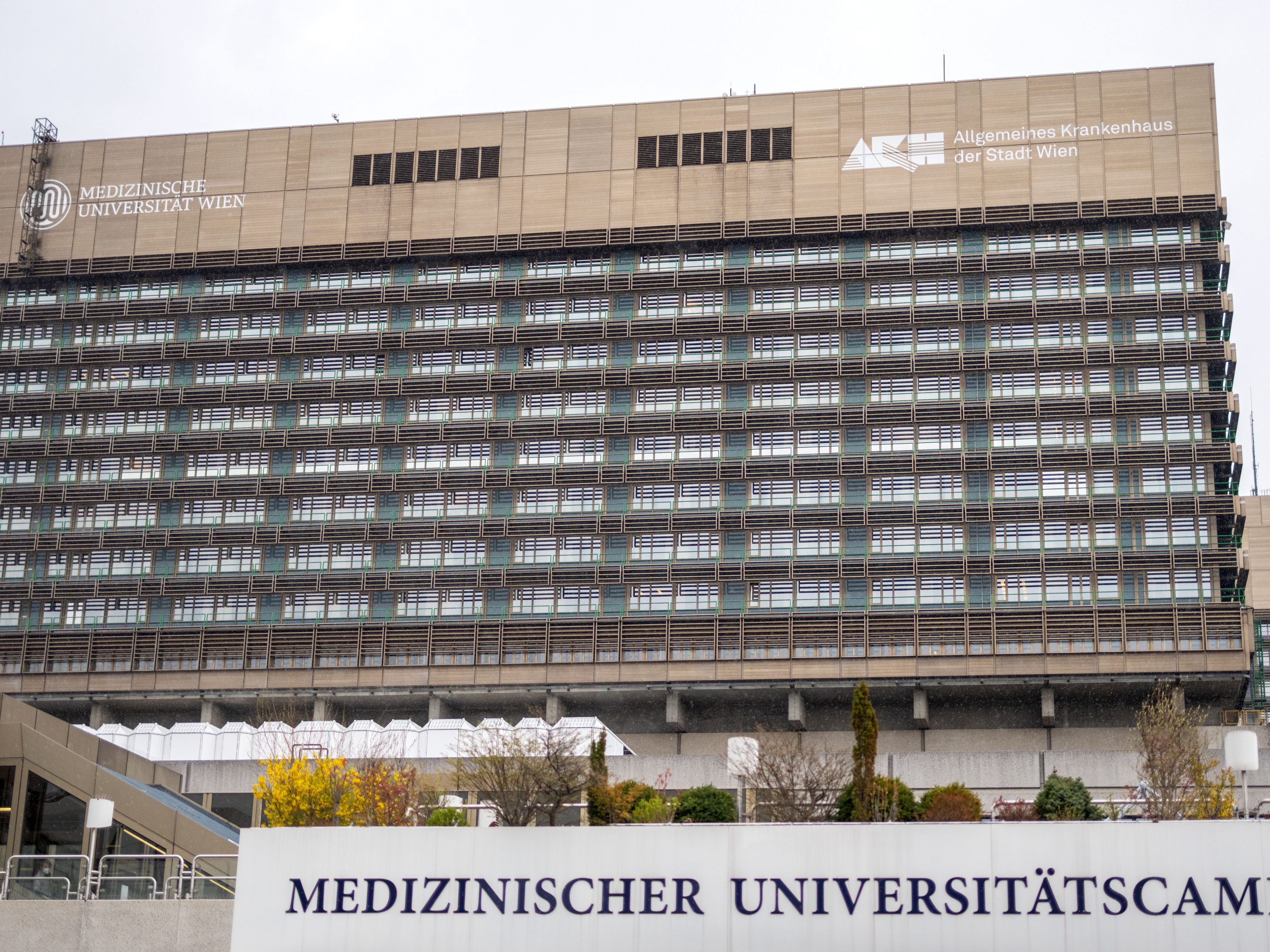 Am Wiener AKH wurde eine Fähigkeit des autonomen Nervensystems entdeckt. Am Wiener AKH wurde eine Fähigkeit des autonomen Nervensystems entdeckt.
