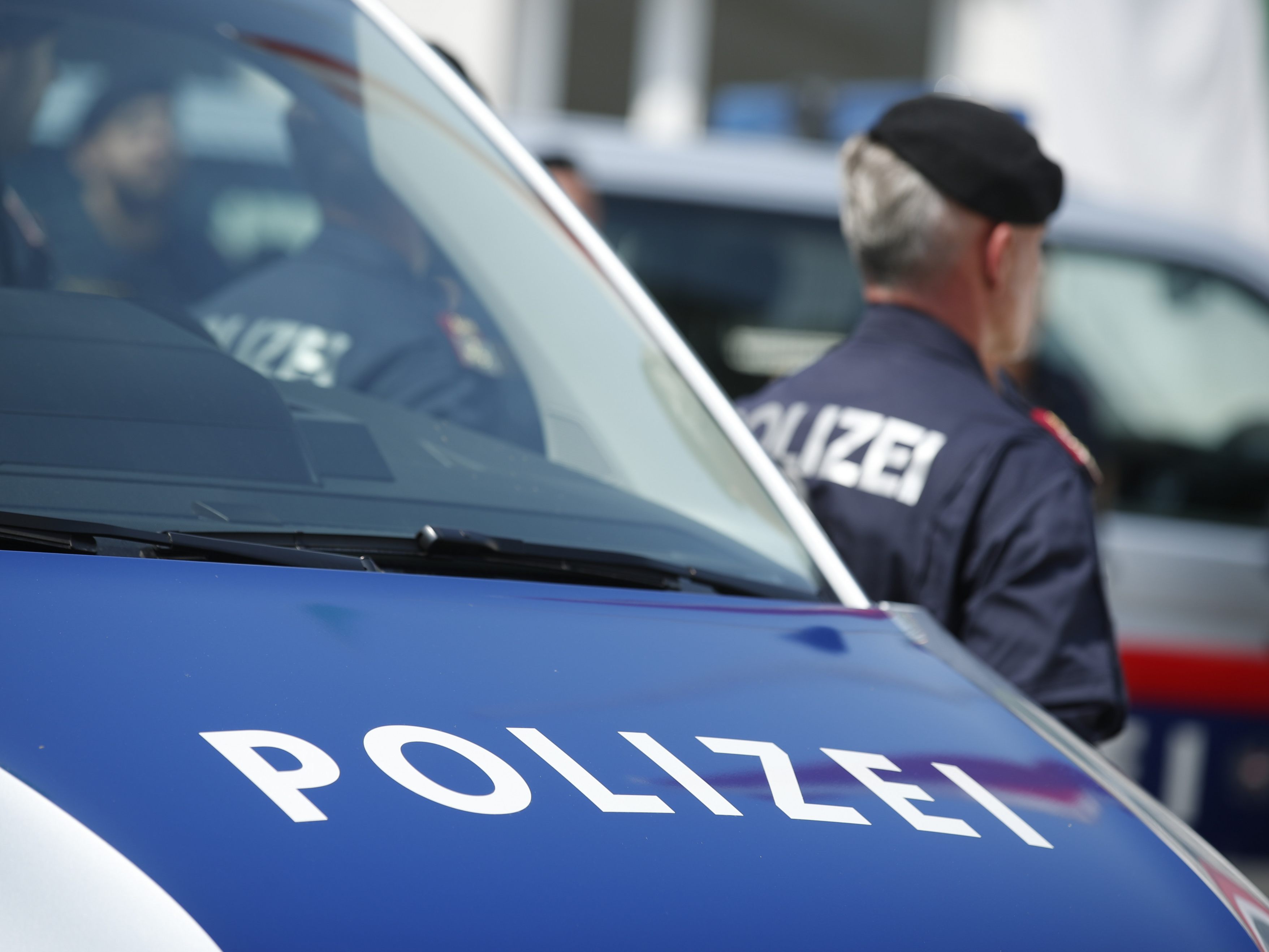 Die Wiener Polizei verhaftete einen Mann wegen häuslicher Gewalt.