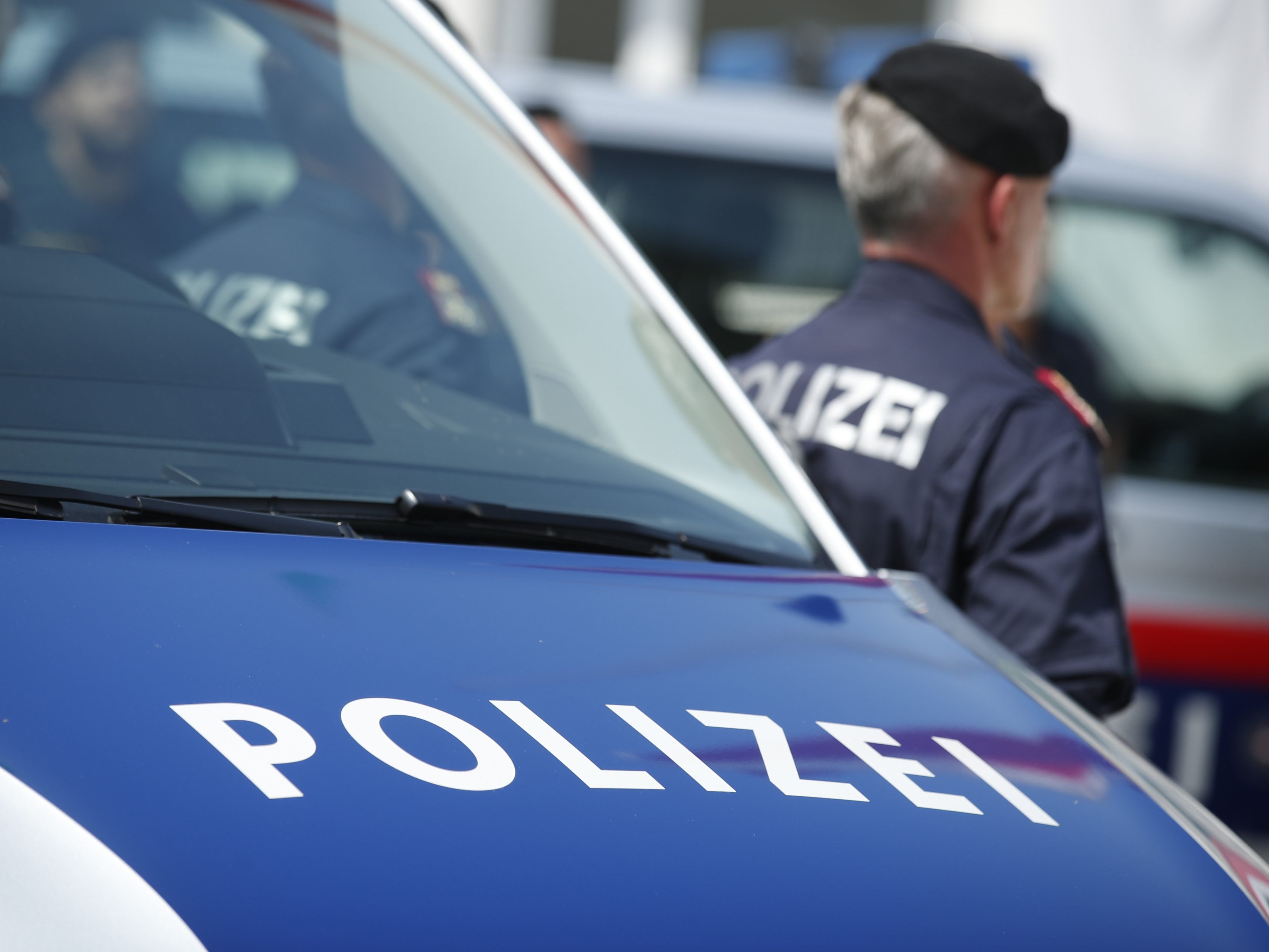 Die Wiener Polizei verhinderte eine Aktion Rechtsextremer beim Innenministerium.