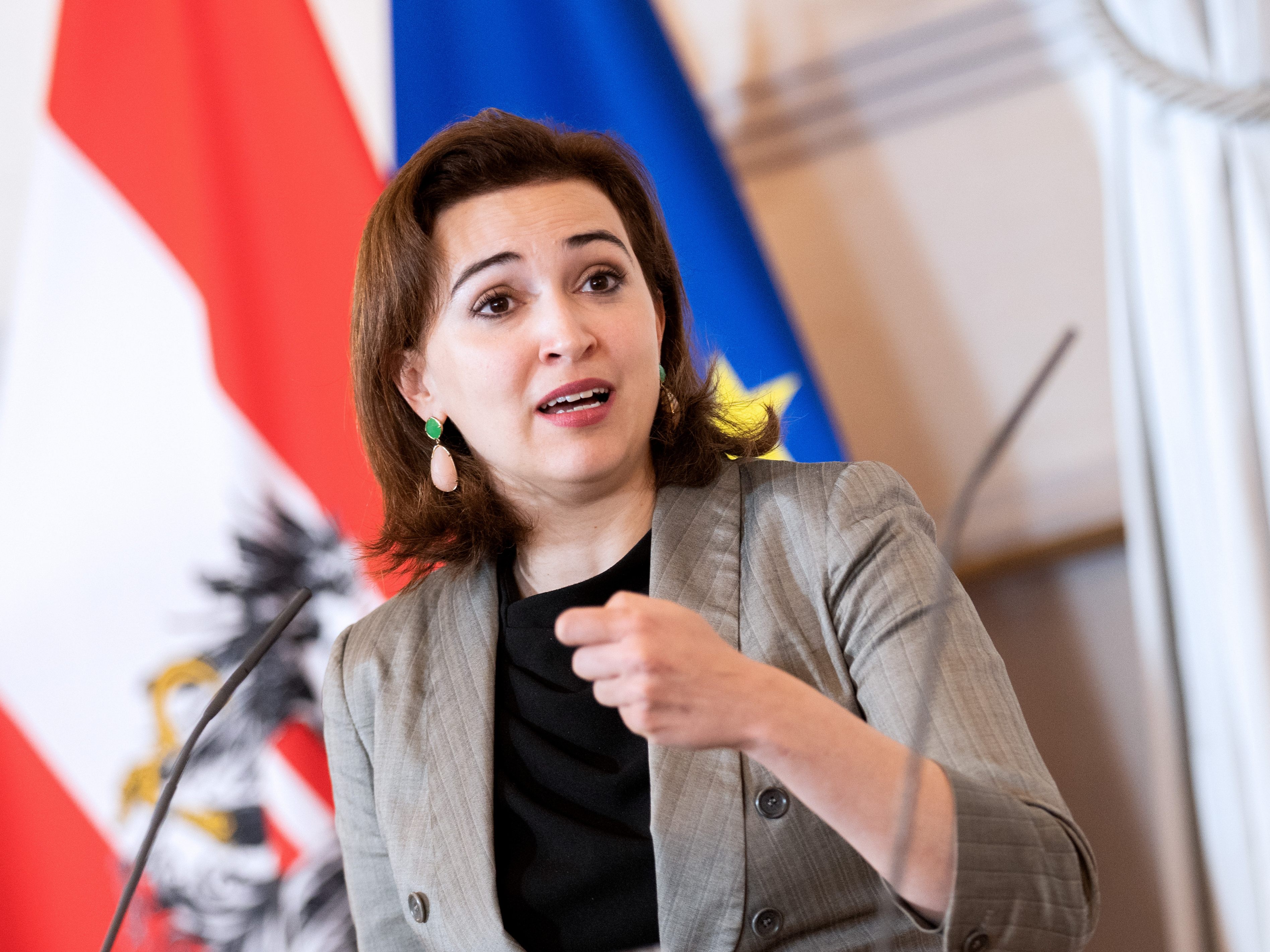 Ministerin Alma Zadic sieht es als ihre Pflicht, die strafrechtlichen Ermittlungen zu schützen. Ministerin Alma Zadic sieht es als ihre Pflicht, die strafrechtlichen Ermittlungen zu schützen.