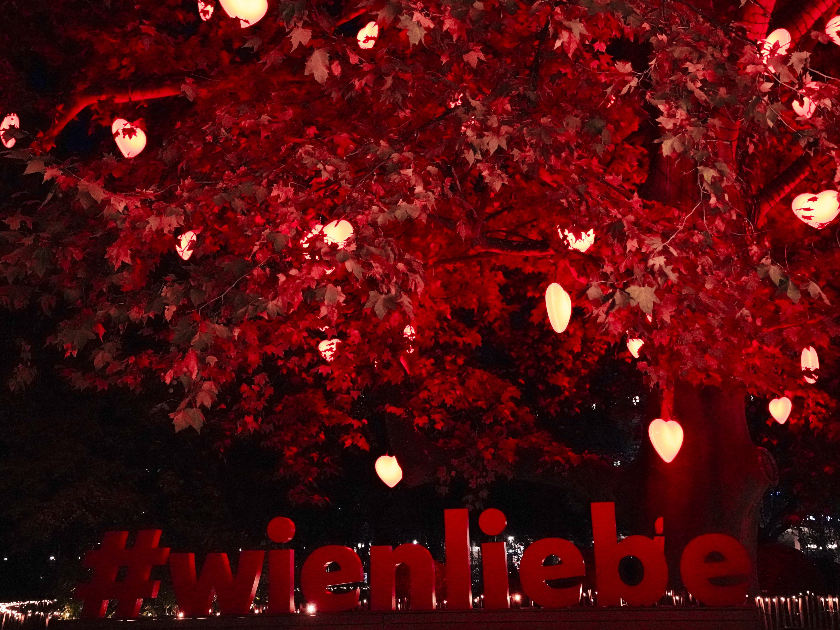 Der Wiener Herzerlbaum leuchtet heuer energiesparend.